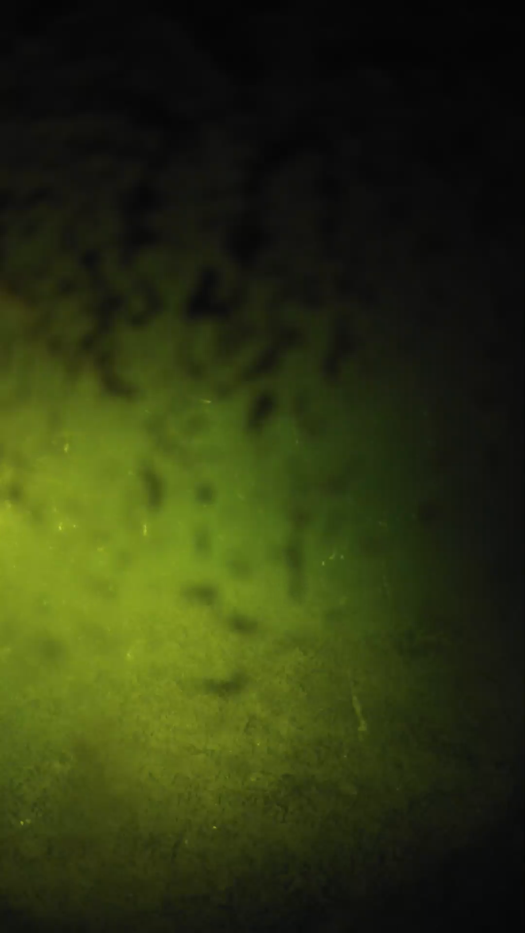 lander_ipcam_20240702033547.png