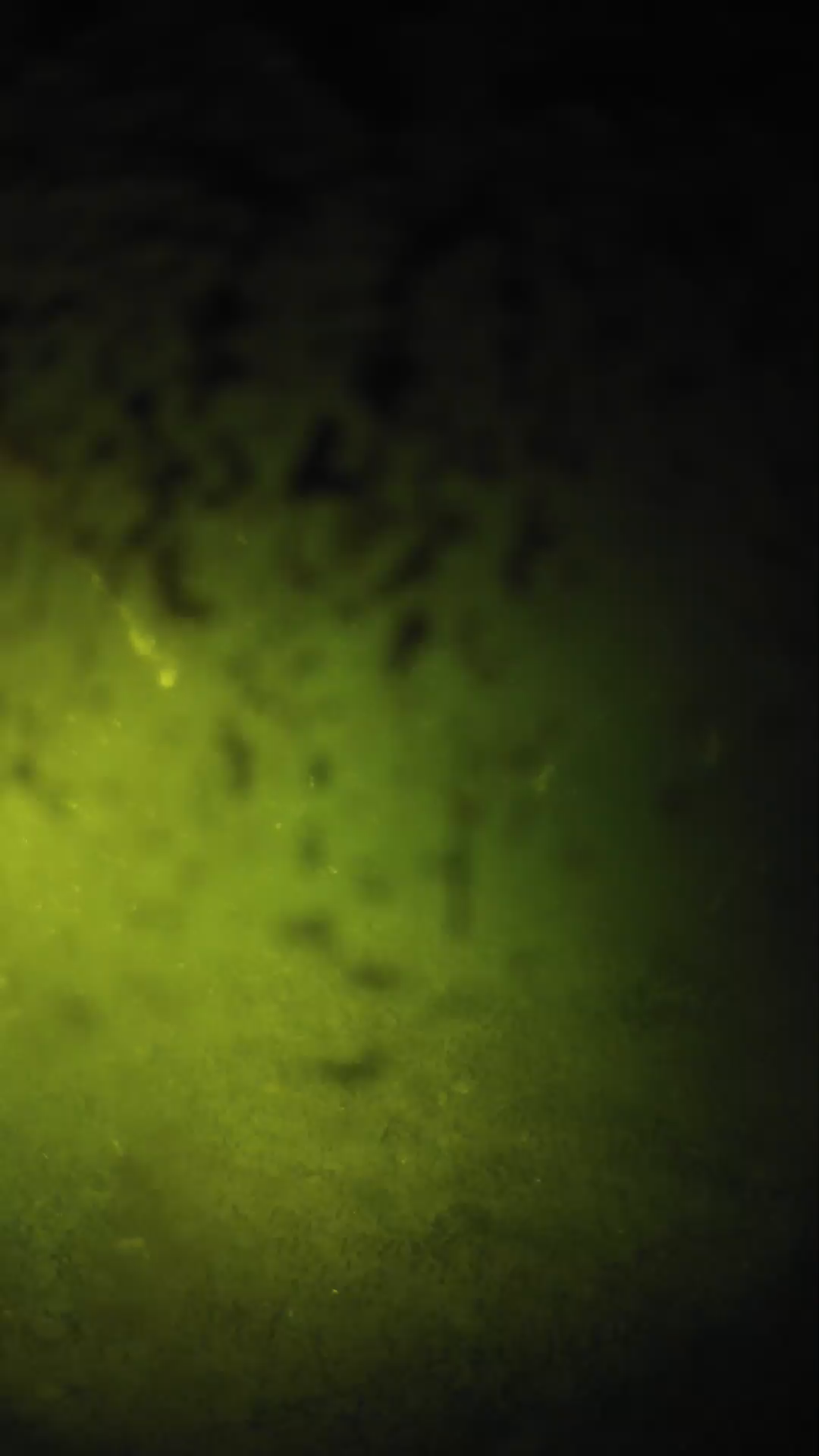 lander_ipcam_20240702040548.png