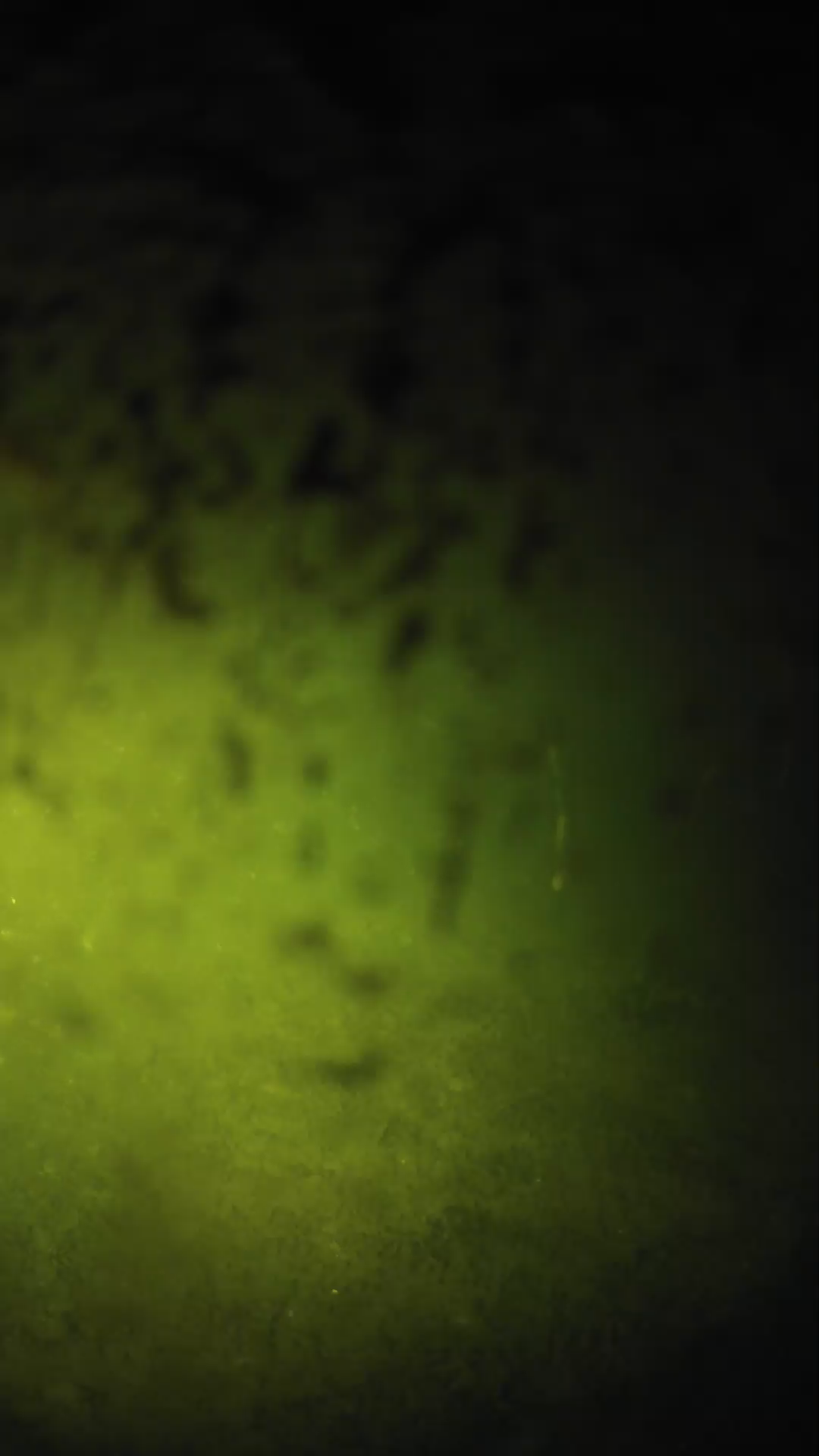 lander_ipcam_20240702040601.png