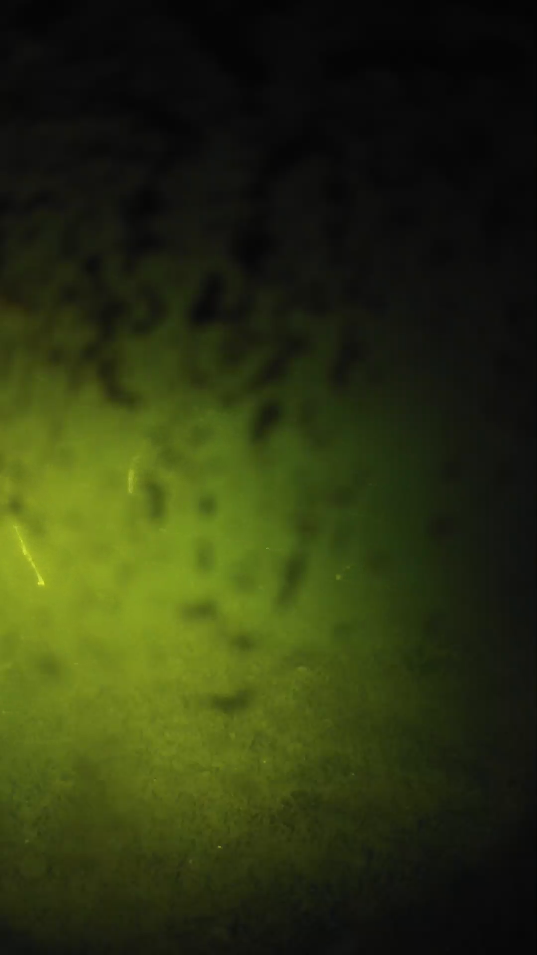 lander_ipcam_20240702043608.png