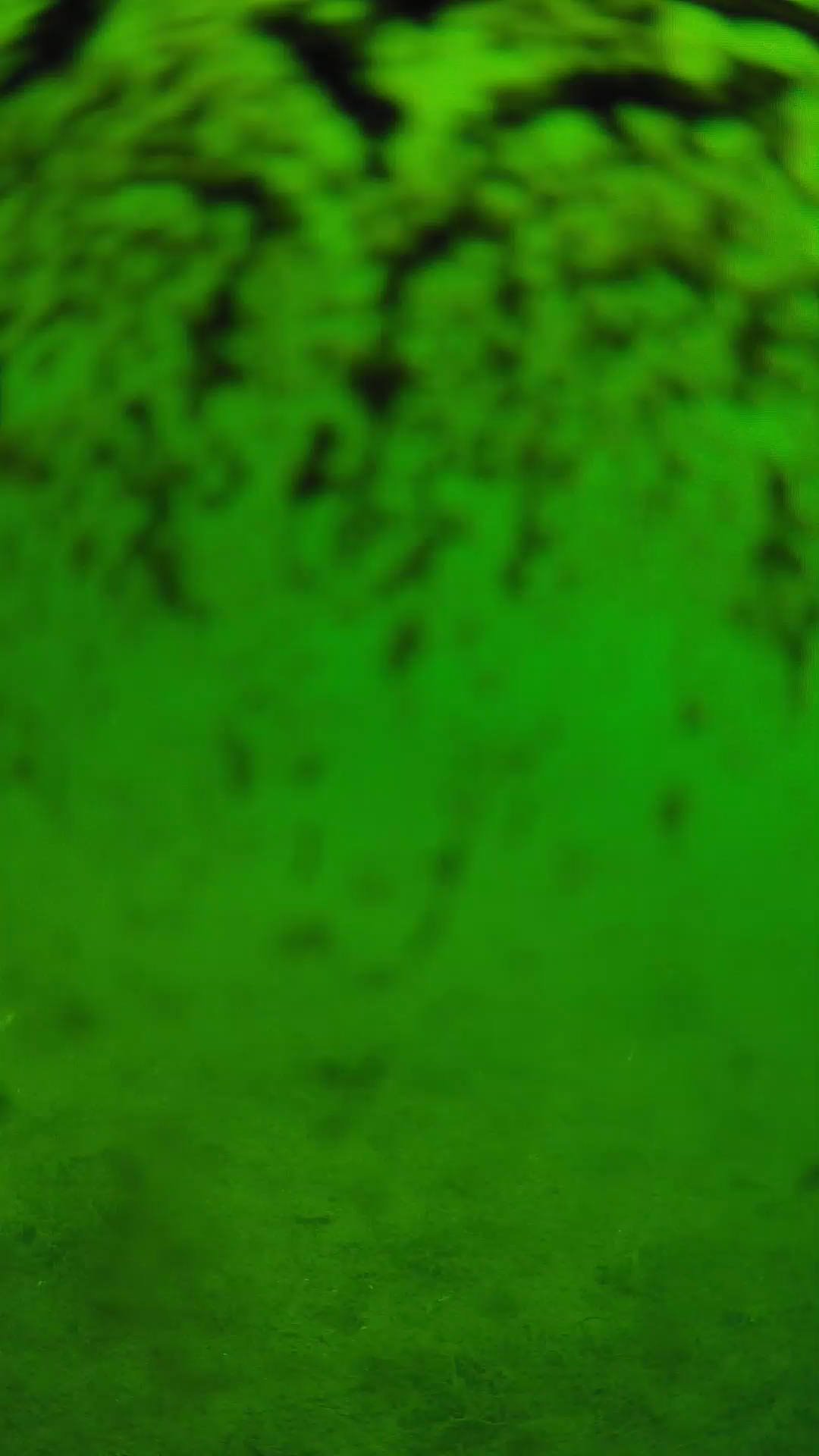 lander_ipcam_20240702100538.png