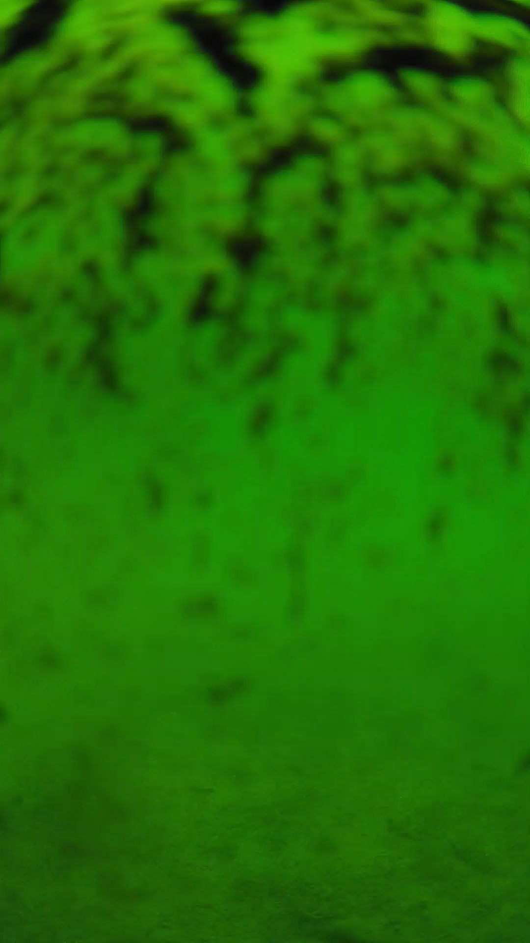 lander_ipcam_20240702113538.png