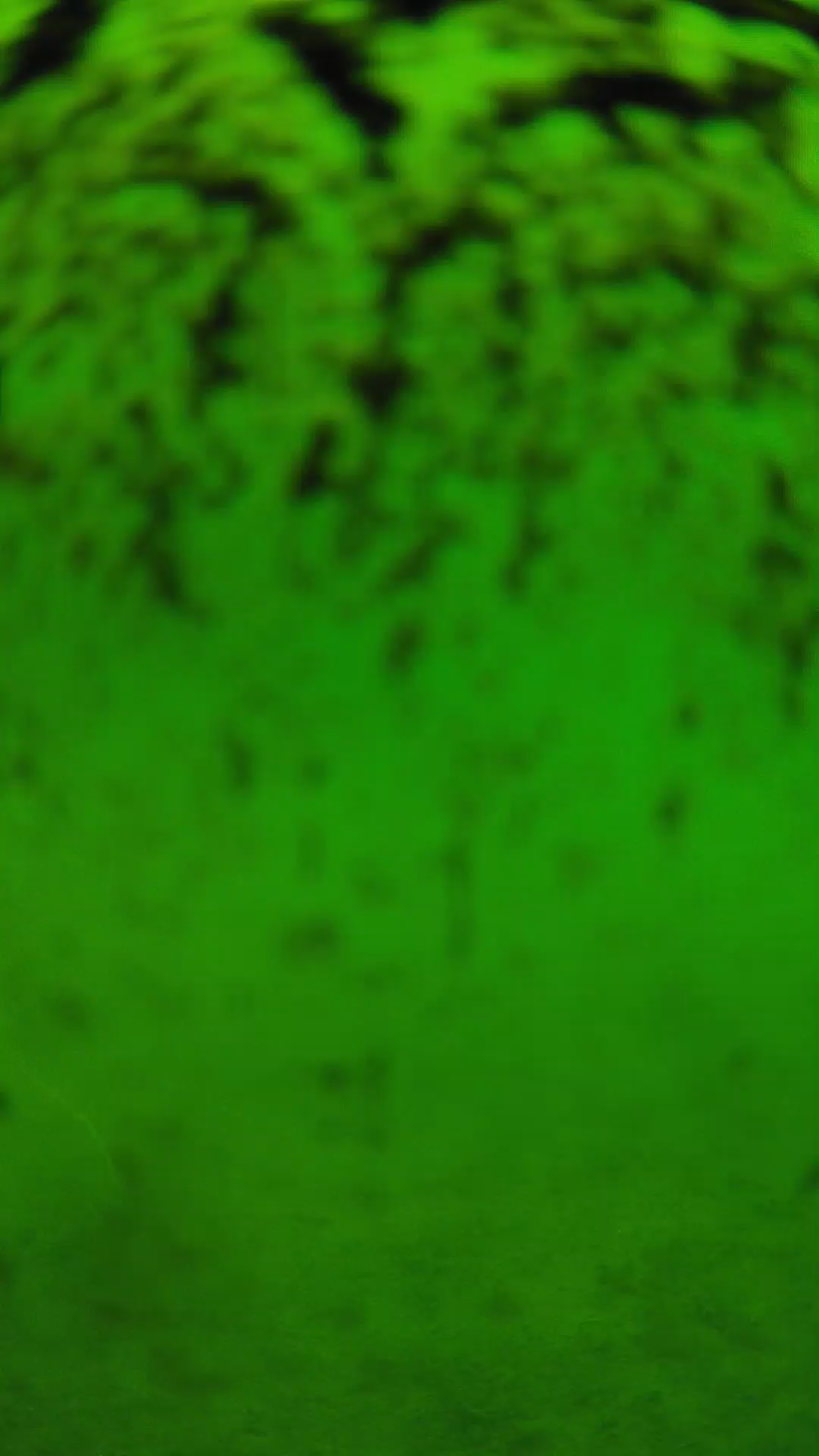 lander_ipcam_20240702113547.png