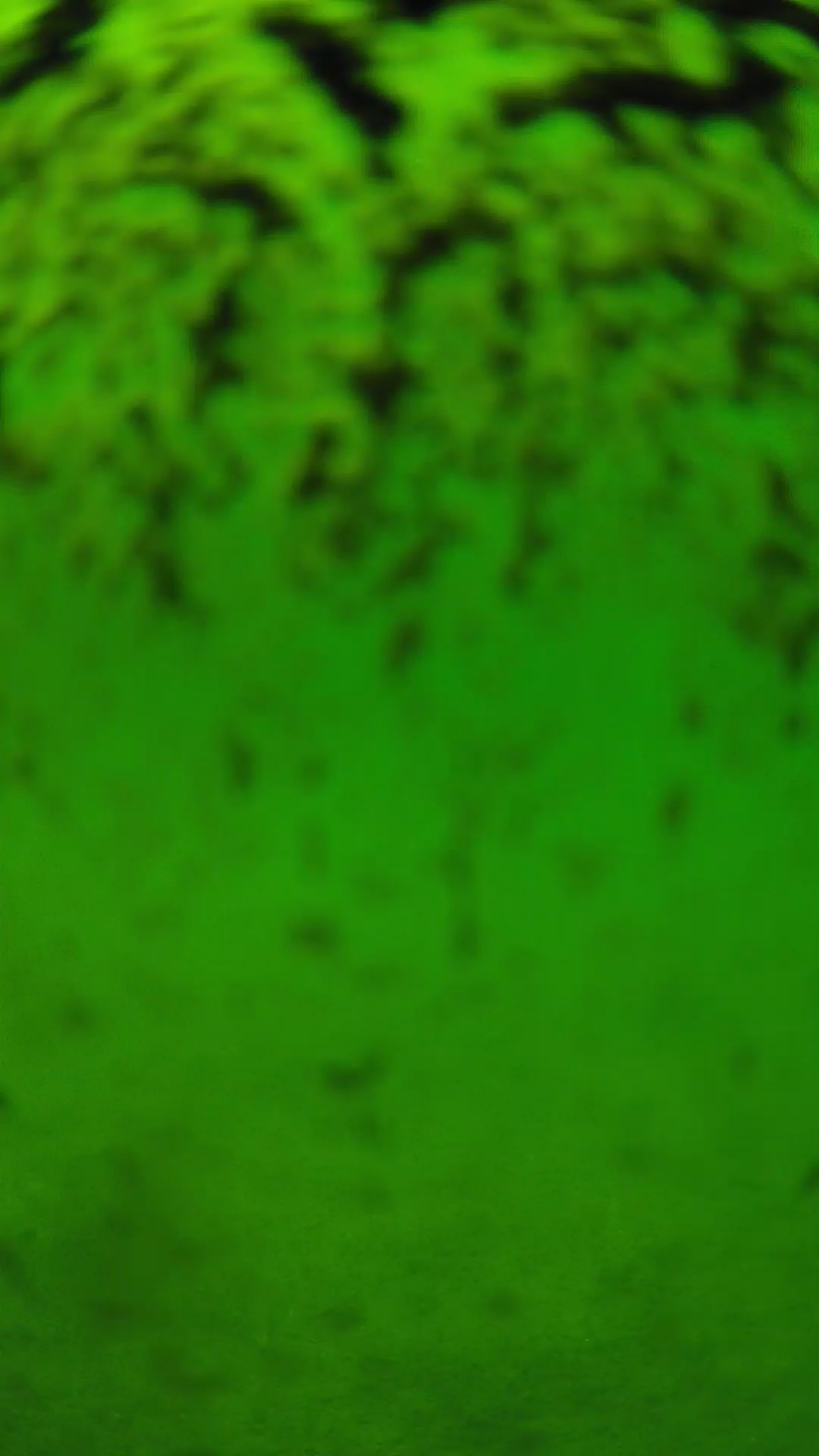 lander_ipcam_20240702130544.png