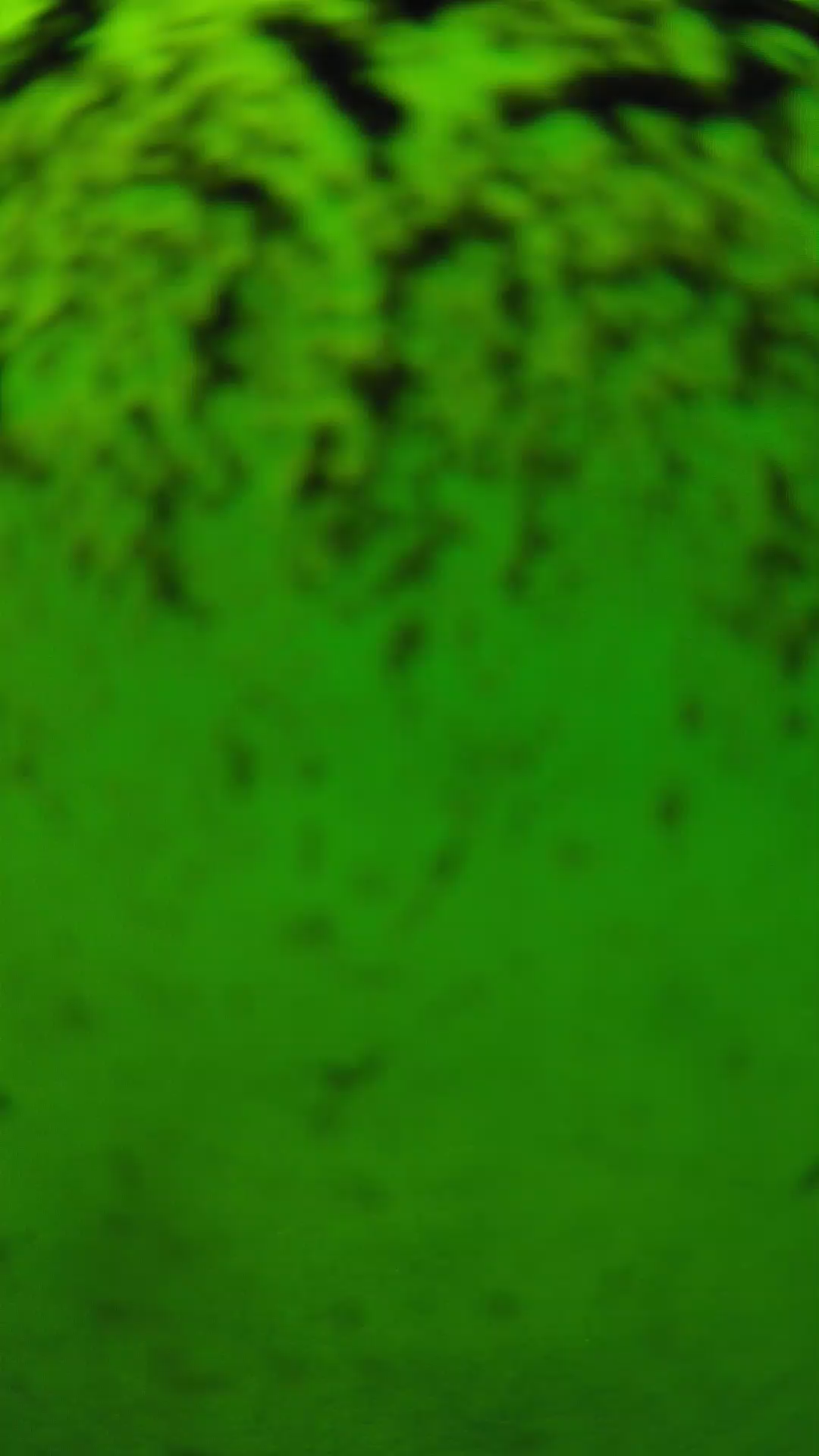 lander_ipcam_20240702133538.png