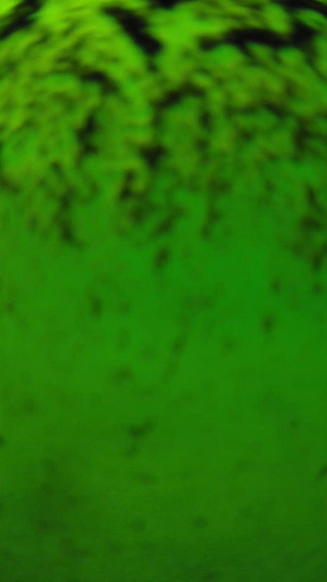 lander_ipcam_20240702133544.png