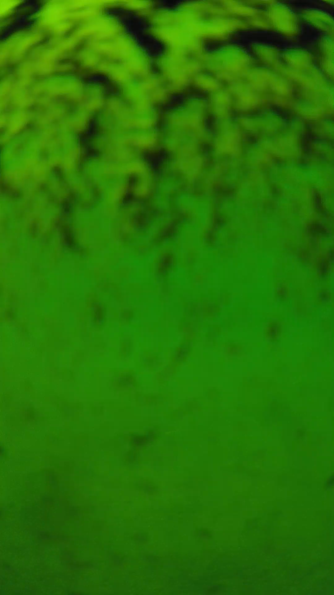 lander_ipcam_20240702133546.png