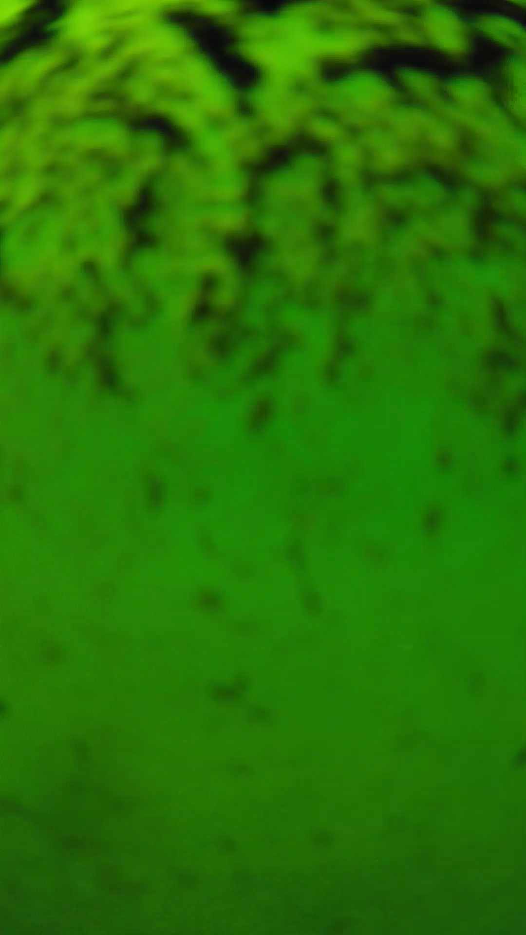 lander_ipcam_20240702133607.png