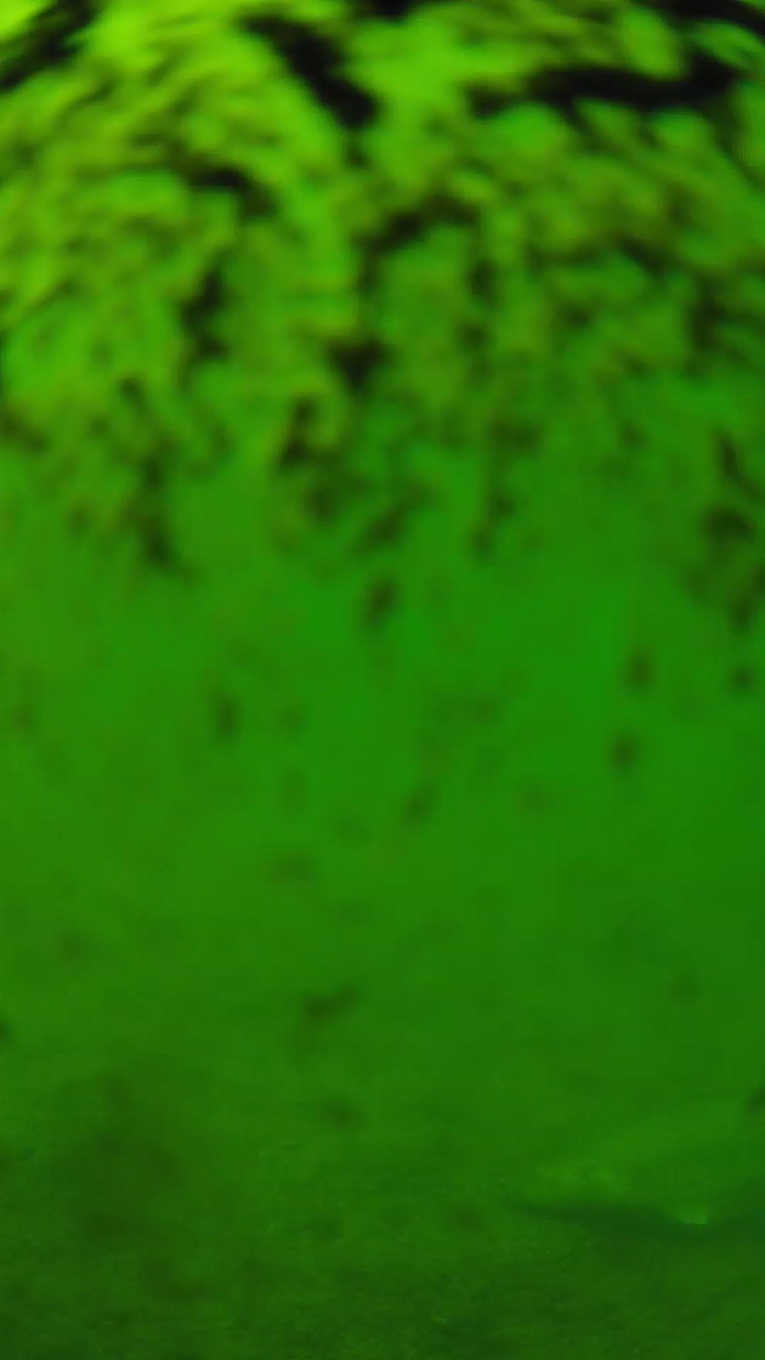lander_ipcam_20240702140554.png