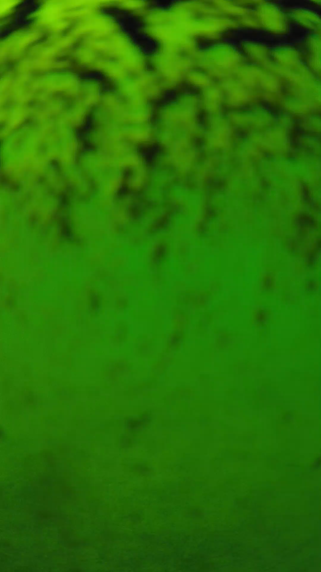 lander_ipcam_20240702140605.png