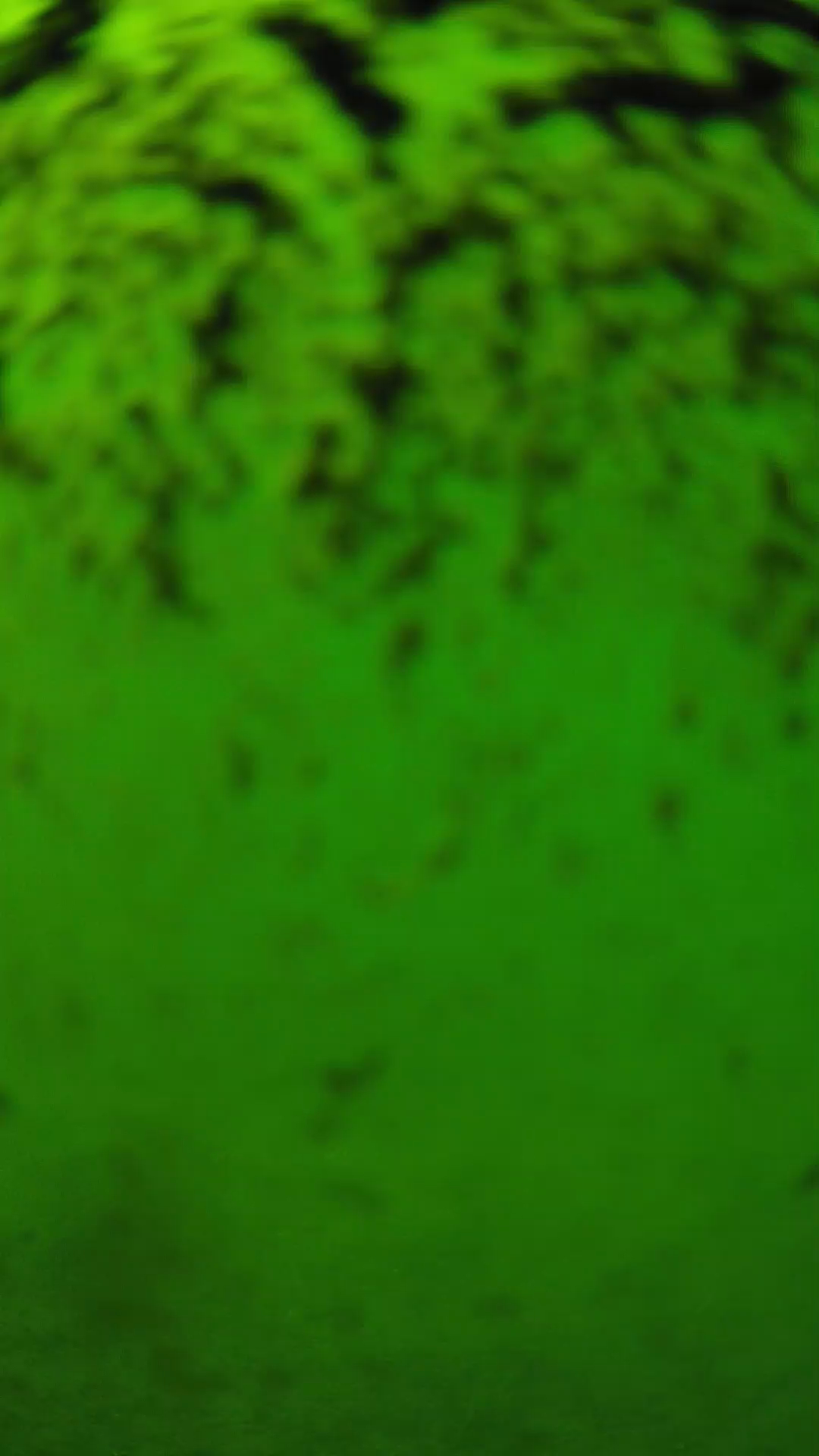 lander_ipcam_20240702143542.png