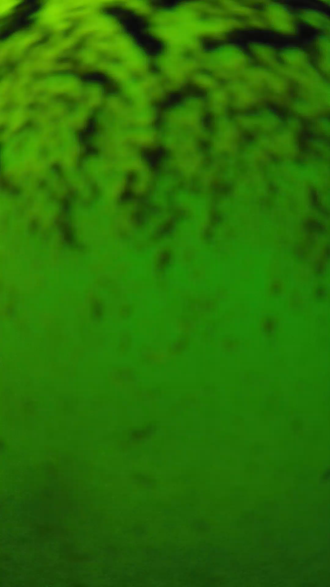 lander_ipcam_20240702143545.png
