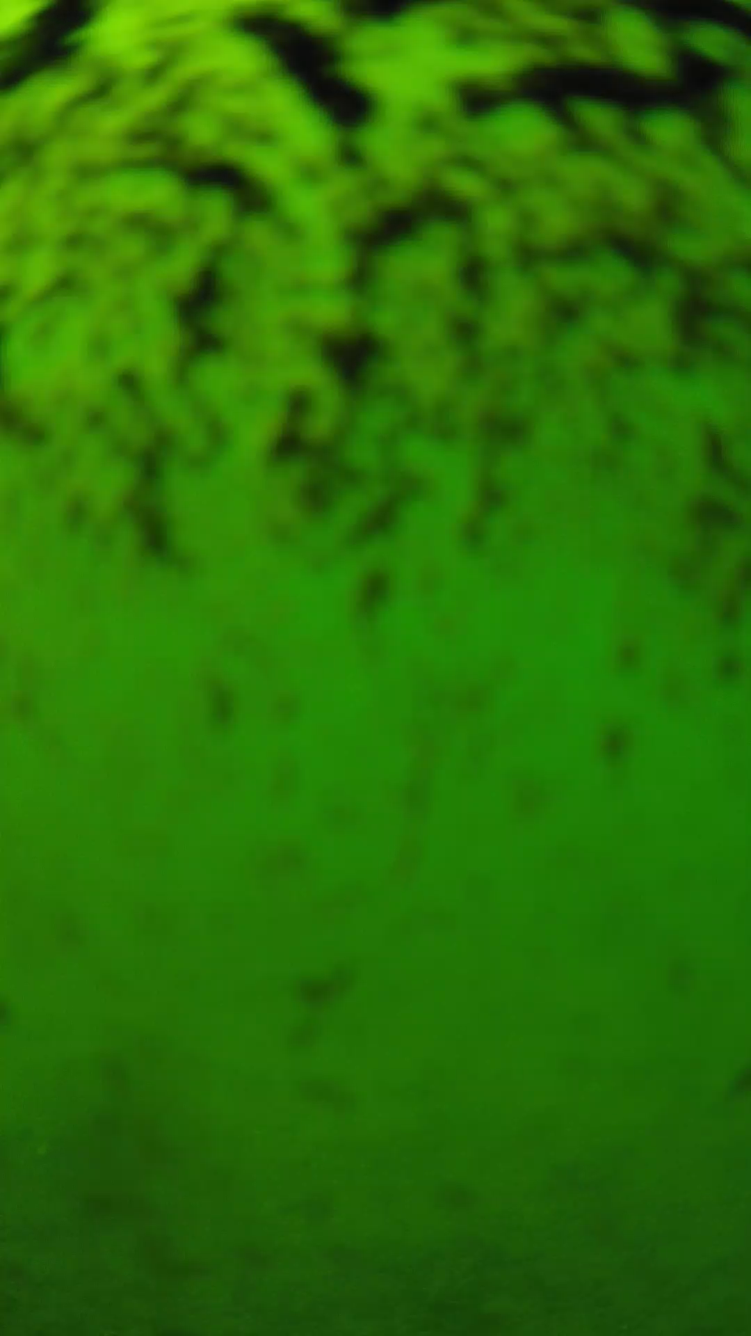 lander_ipcam_20240702143554.png