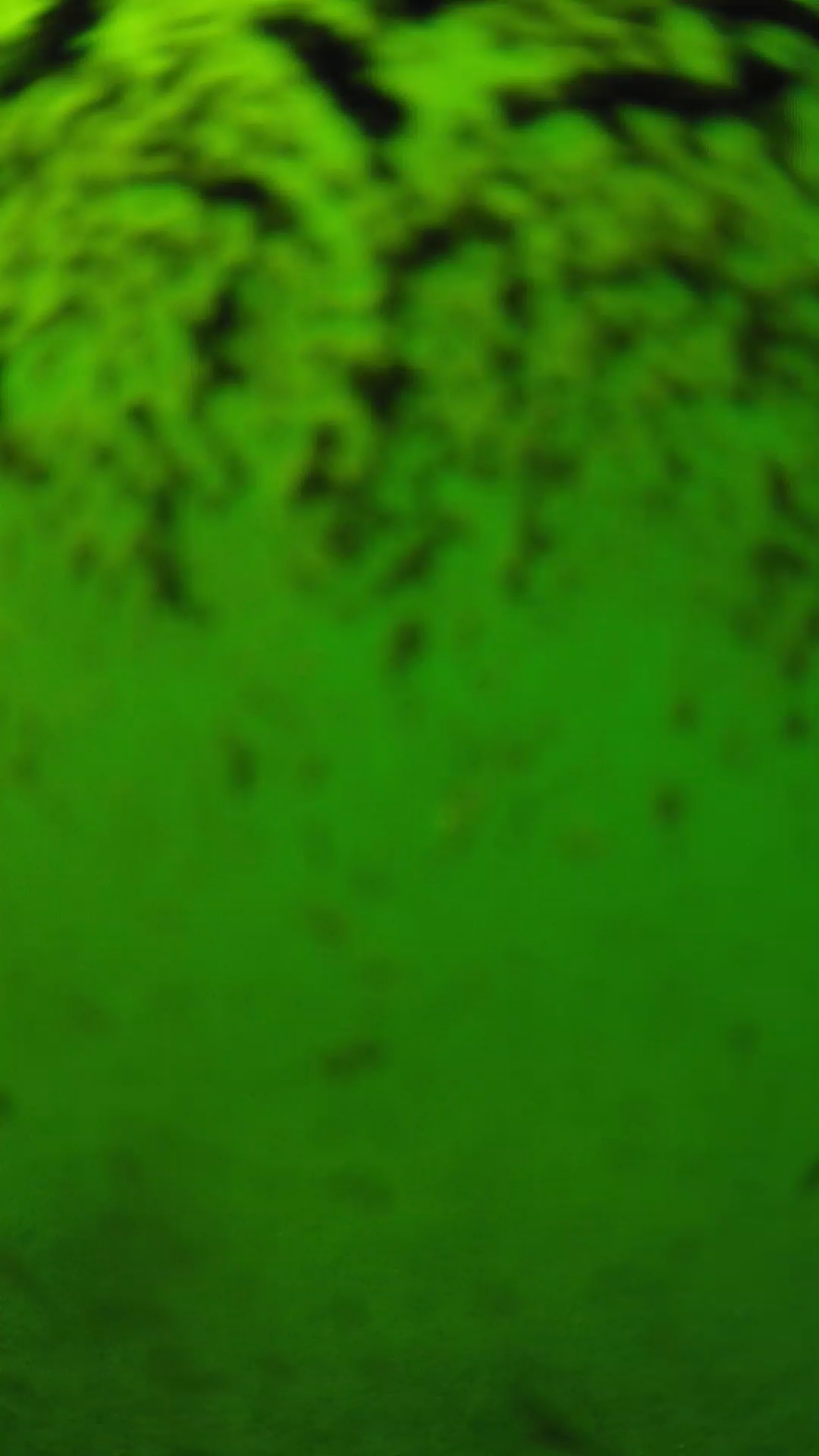 lander_ipcam_20240702143600.png