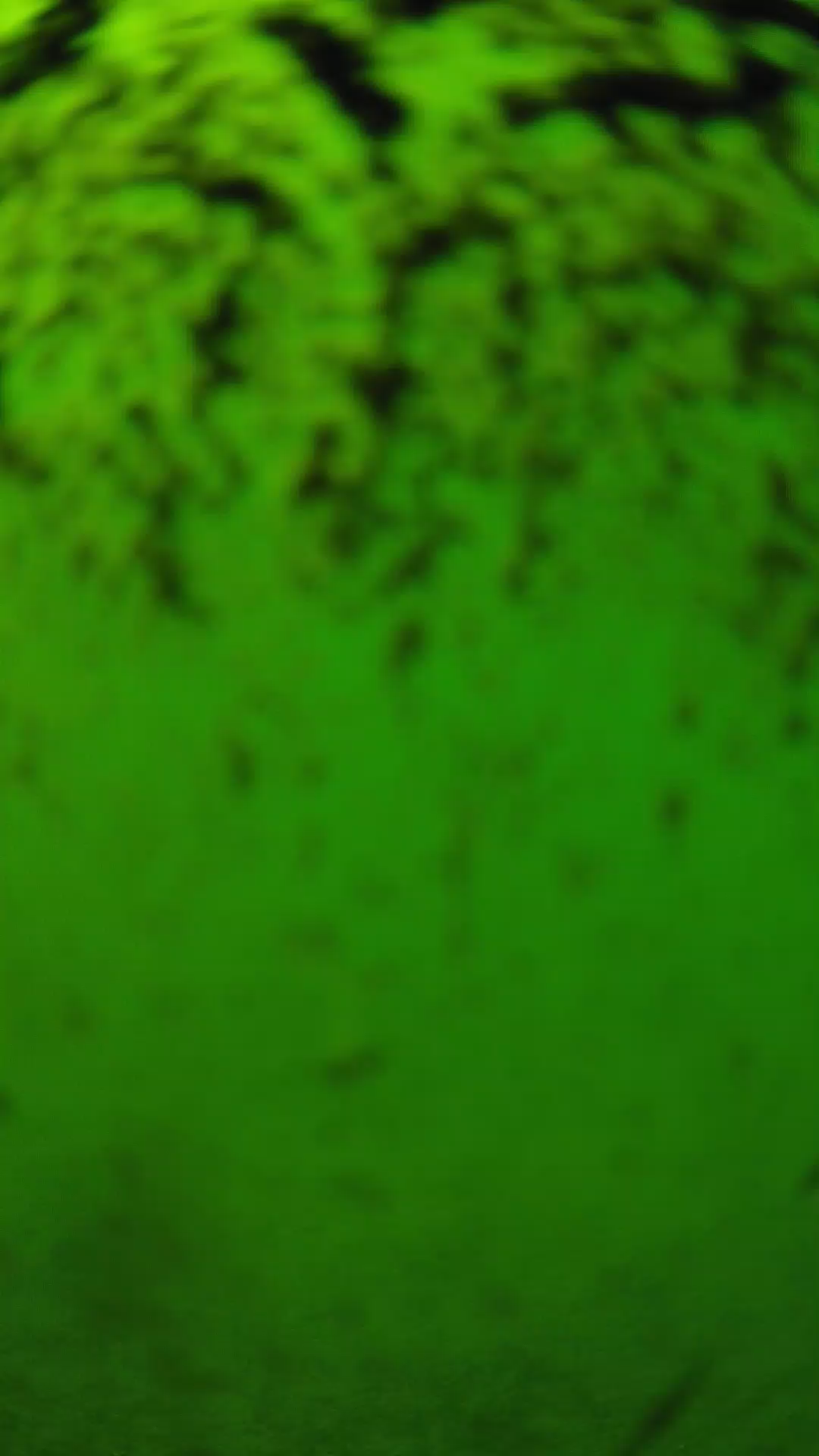 lander_ipcam_20240702143608.png