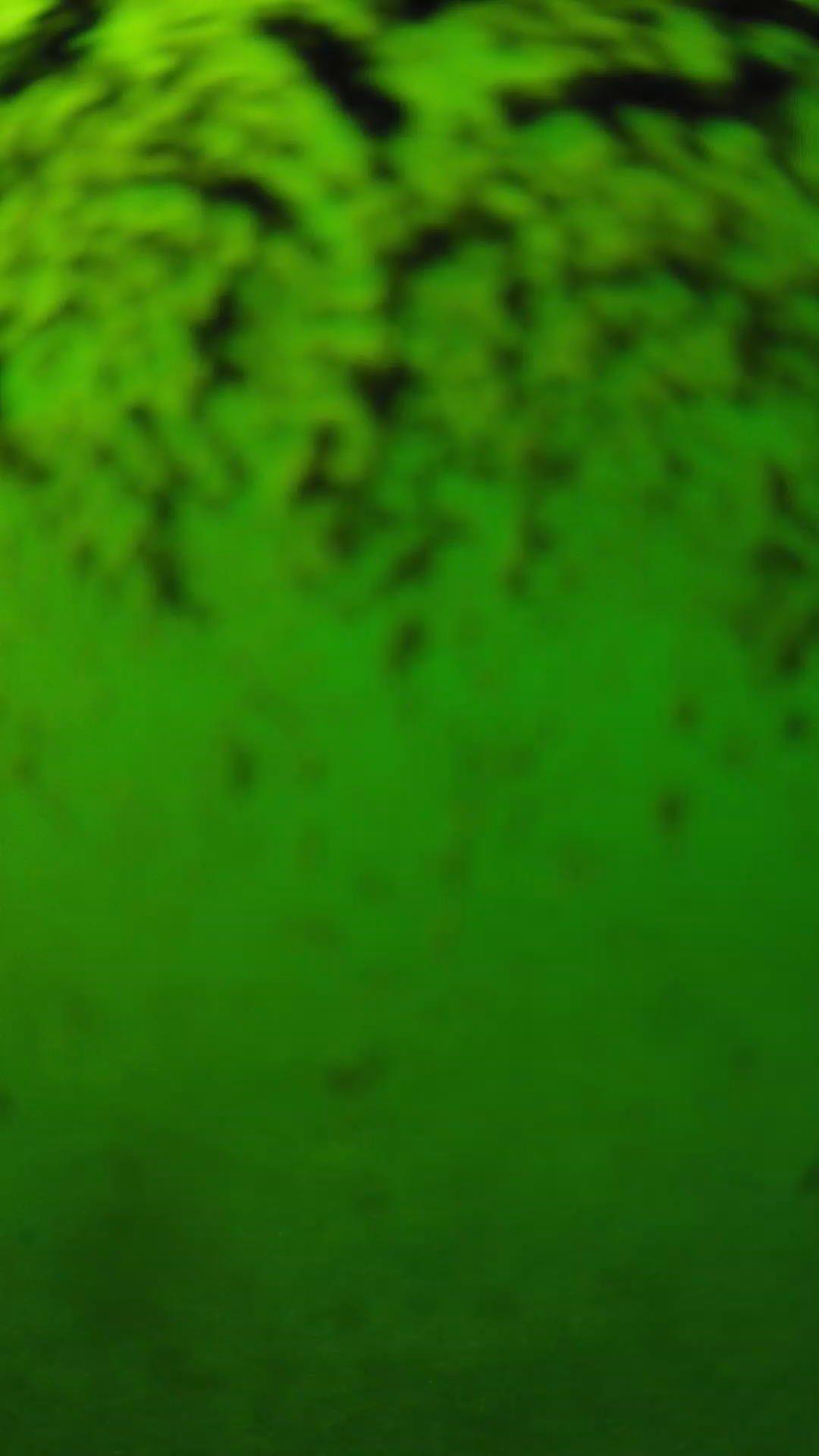 lander_ipcam_20240702150547.png