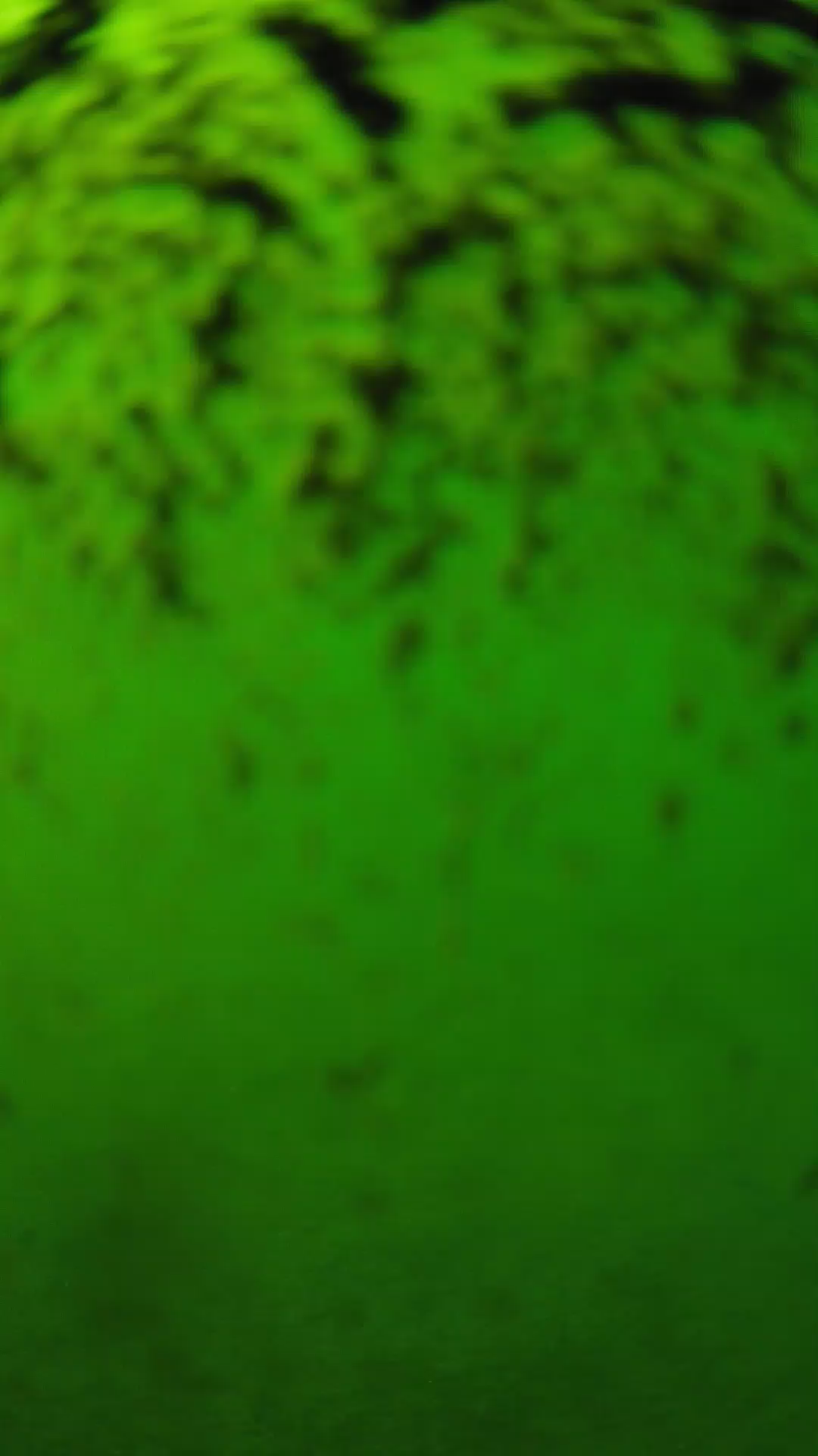 lander_ipcam_20240702150601.png