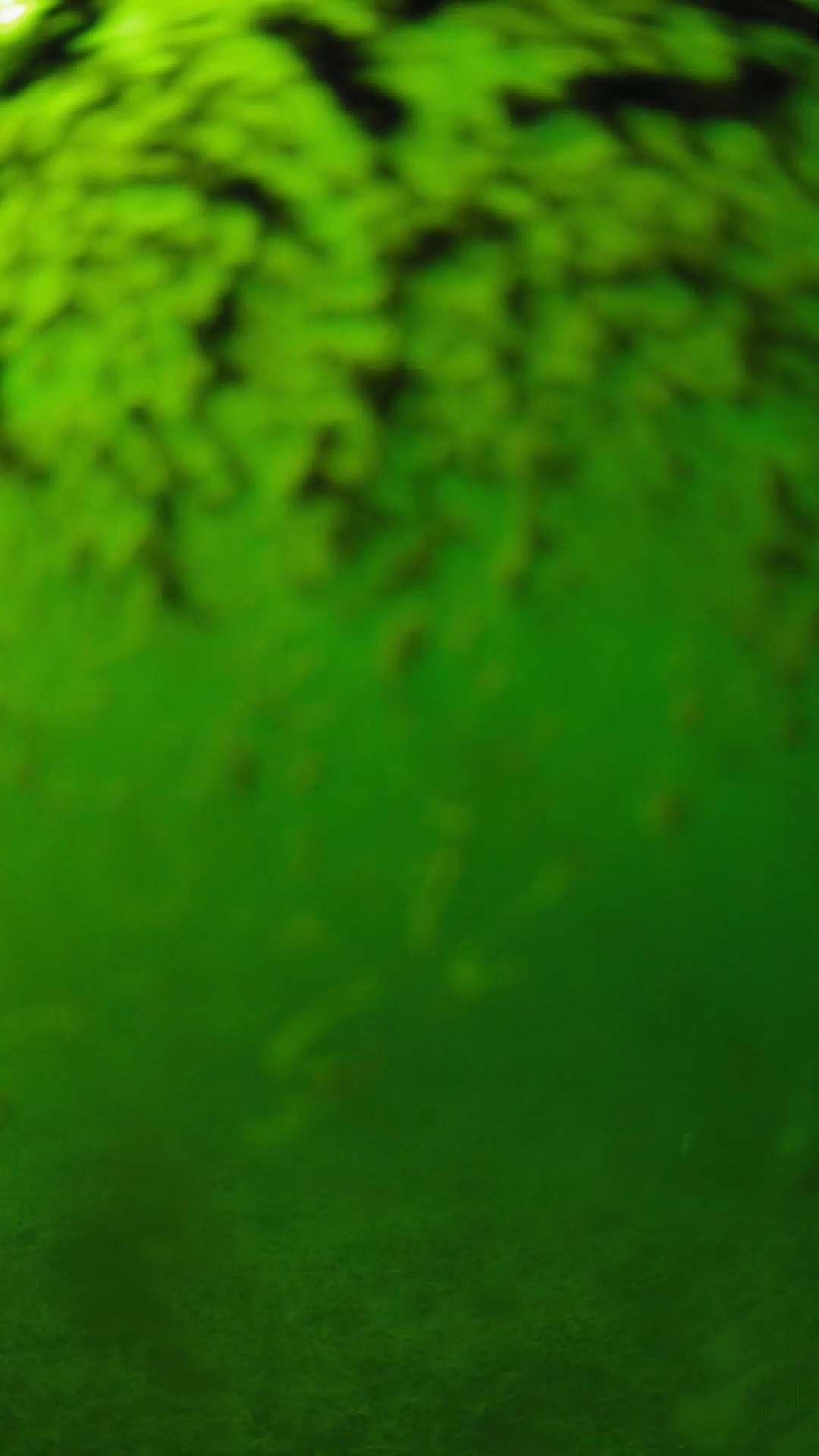 lander_ipcam_20240702160558.png