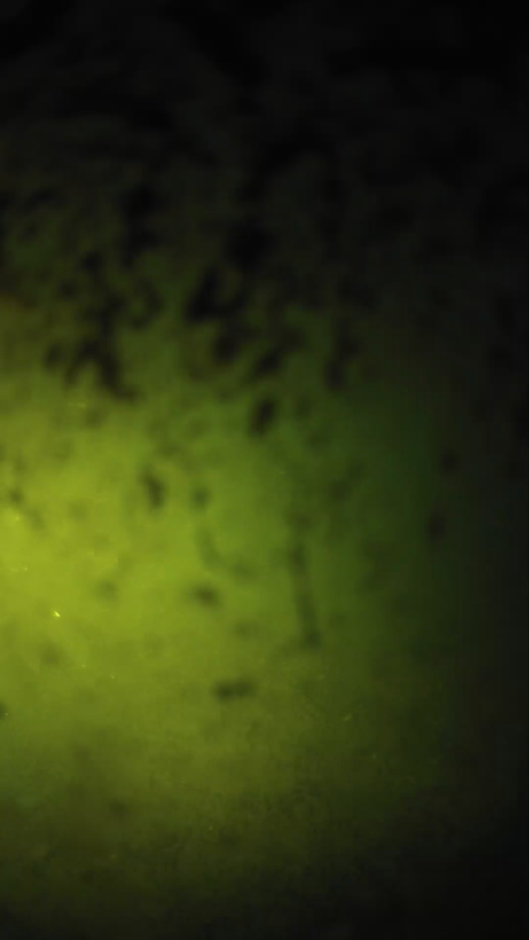 lander_ipcam_20240702203557.png