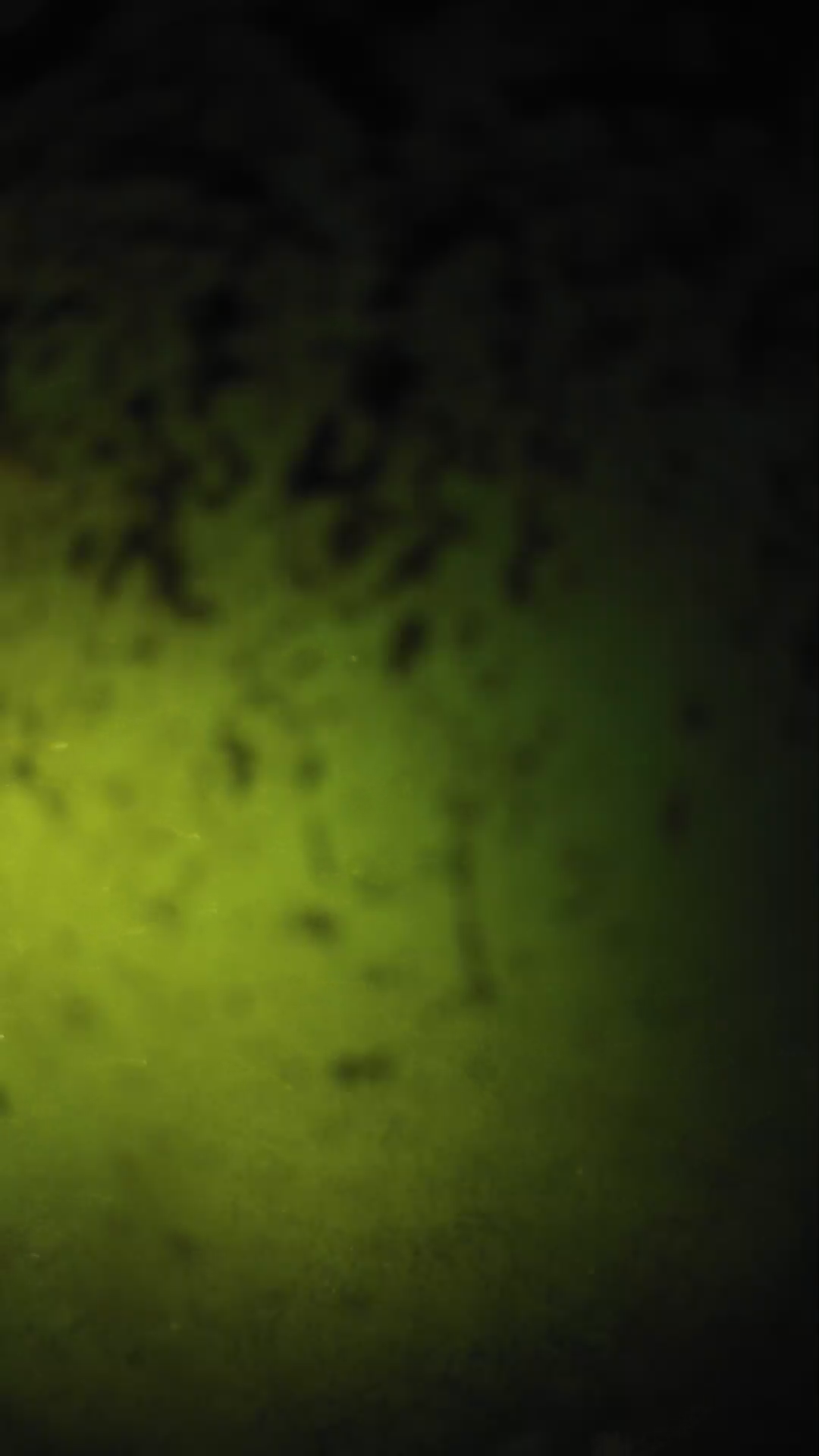 lander_ipcam_20240702203601.png