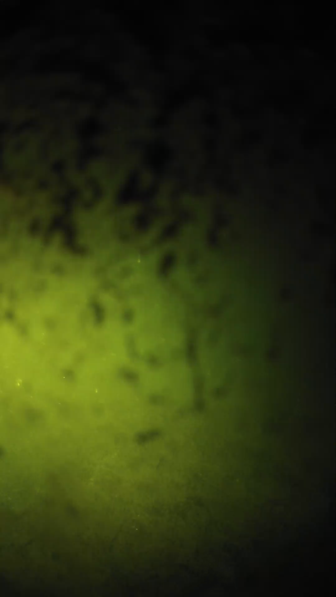 lander_ipcam_20240702213557.png