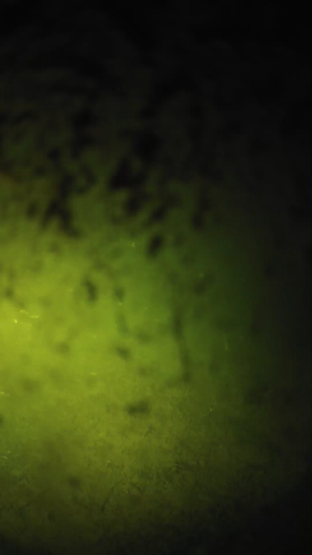 lander_ipcam_20240702223606.png