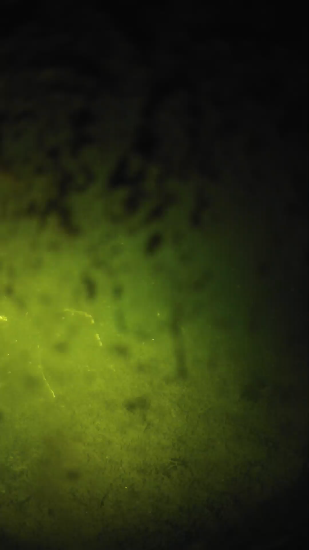 lander_ipcam_20240702233538.png