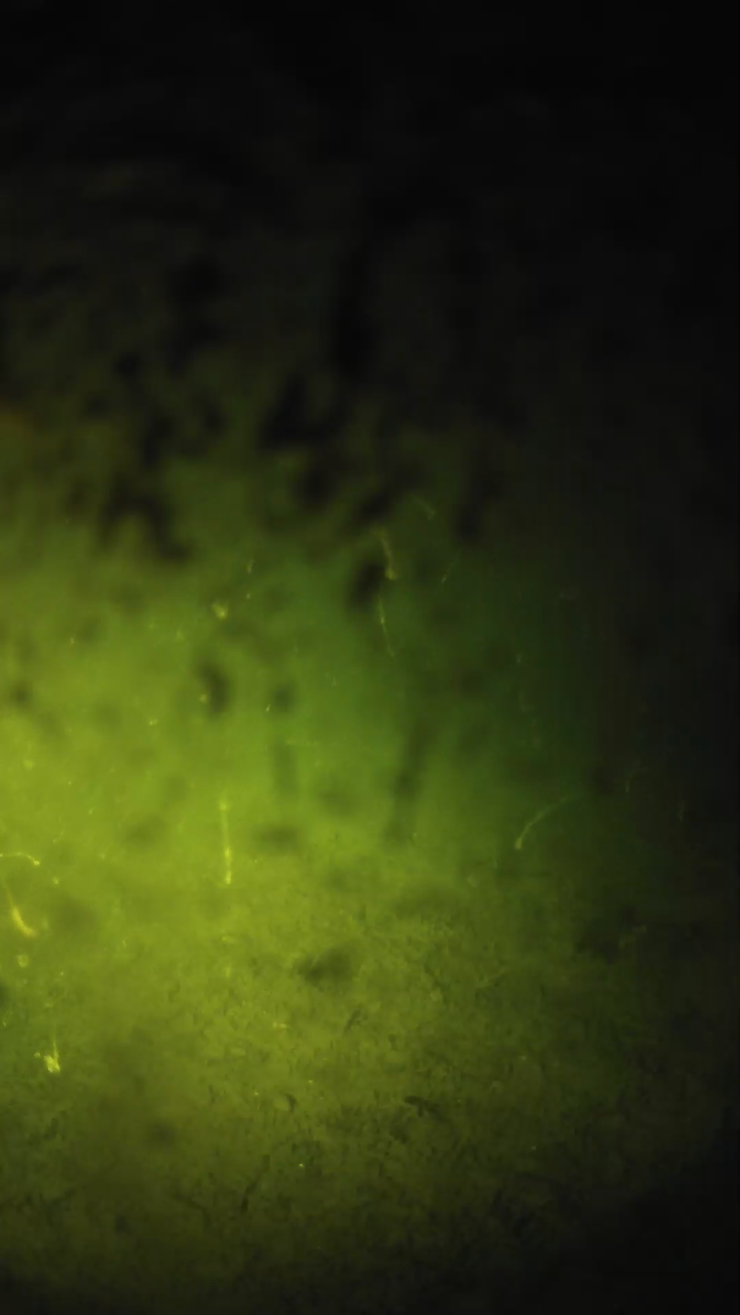 lander_ipcam_20240703010552.png