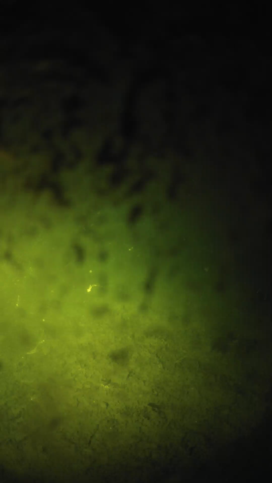 lander_ipcam_20240703013601.png