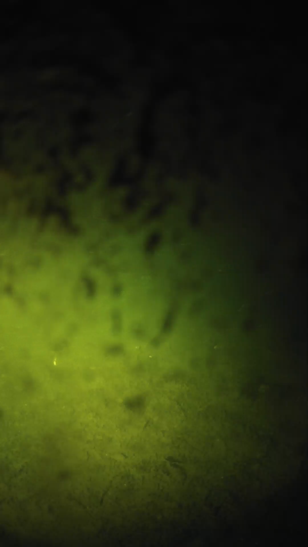 lander_ipcam_20240703020544.png