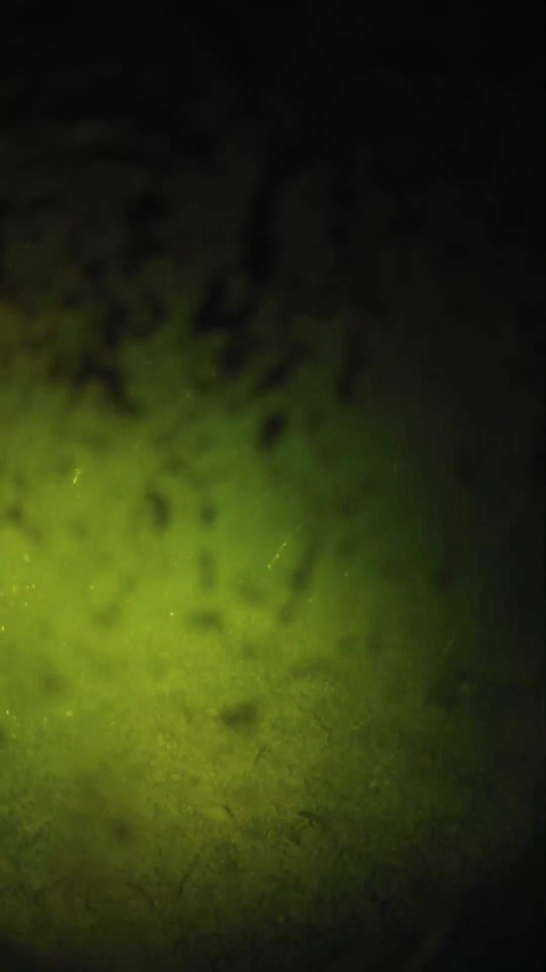 lander_ipcam_20240703020558.png