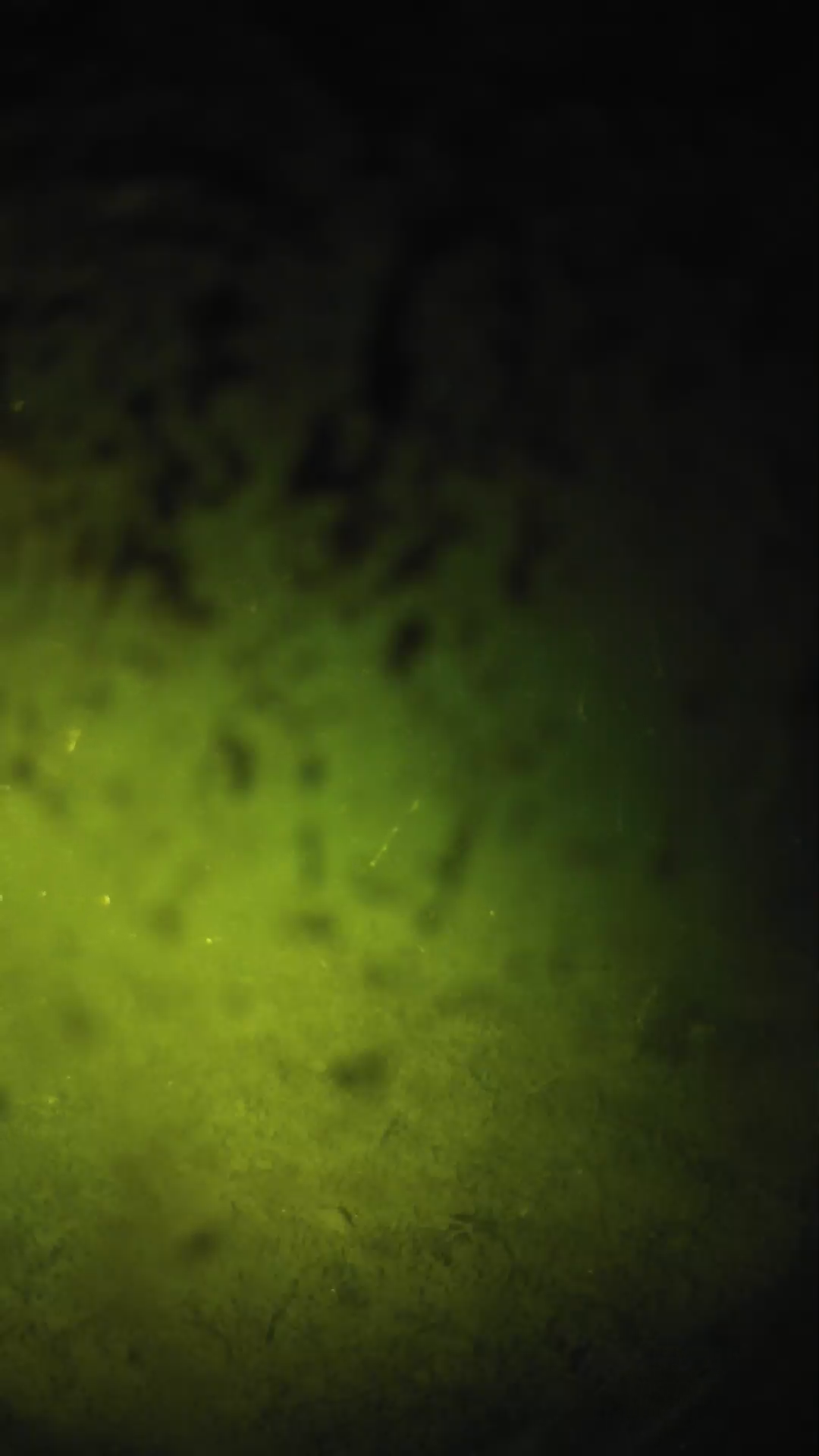 lander_ipcam_20240703020605.png