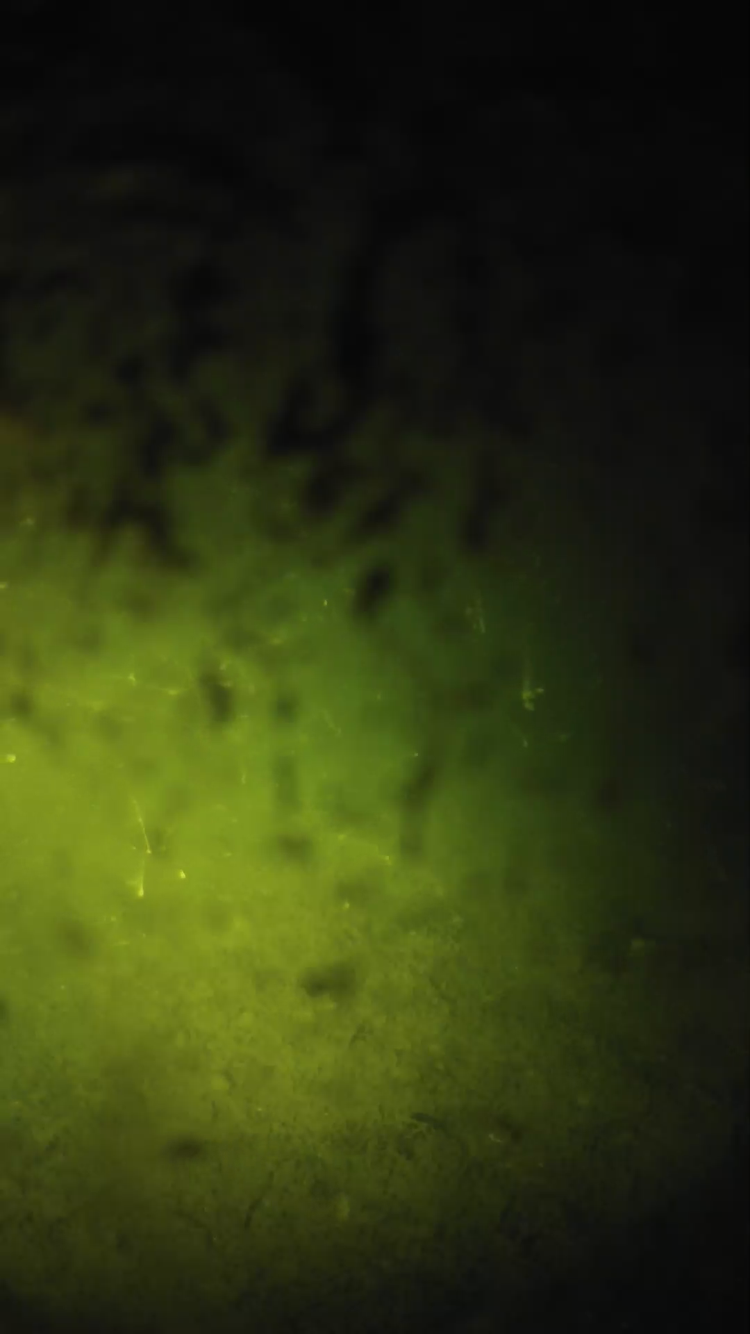 lander_ipcam_20240703023552.png