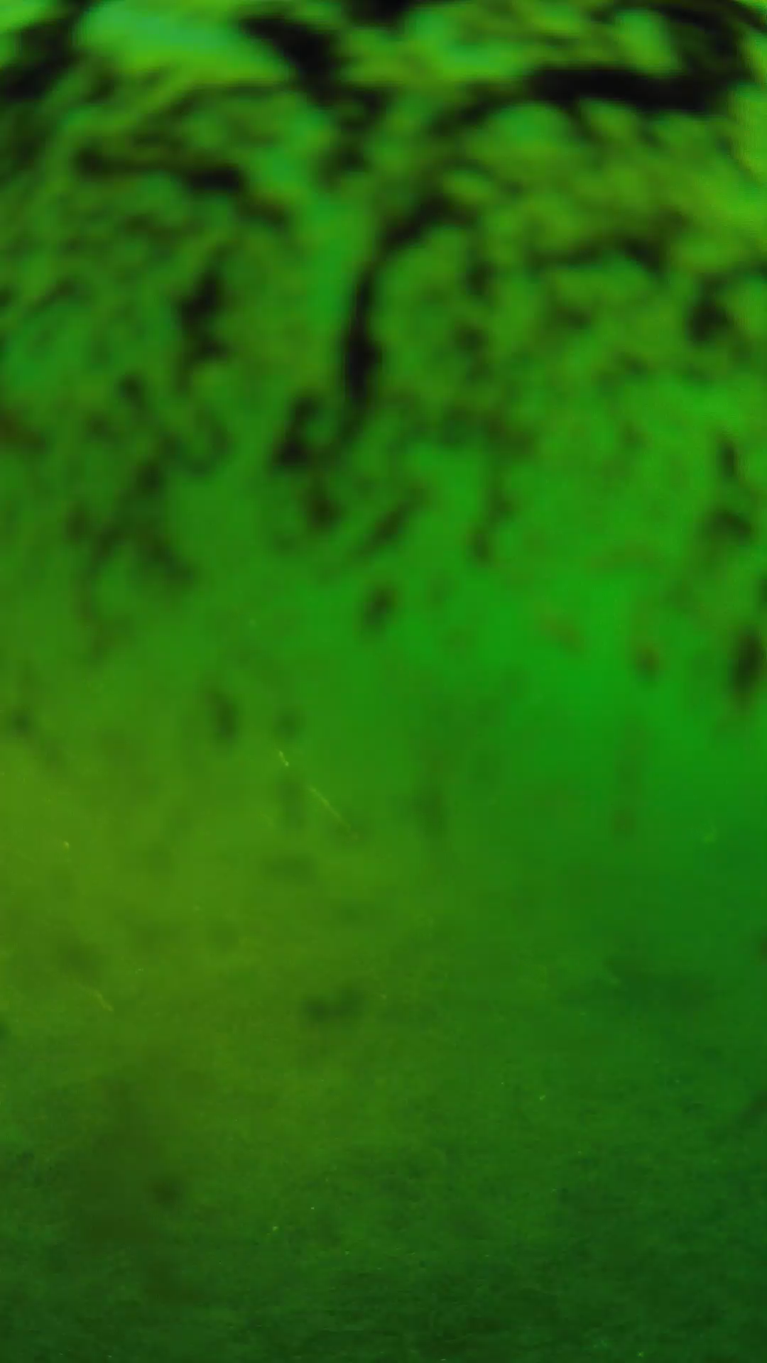 lander_ipcam_20240703053554.png