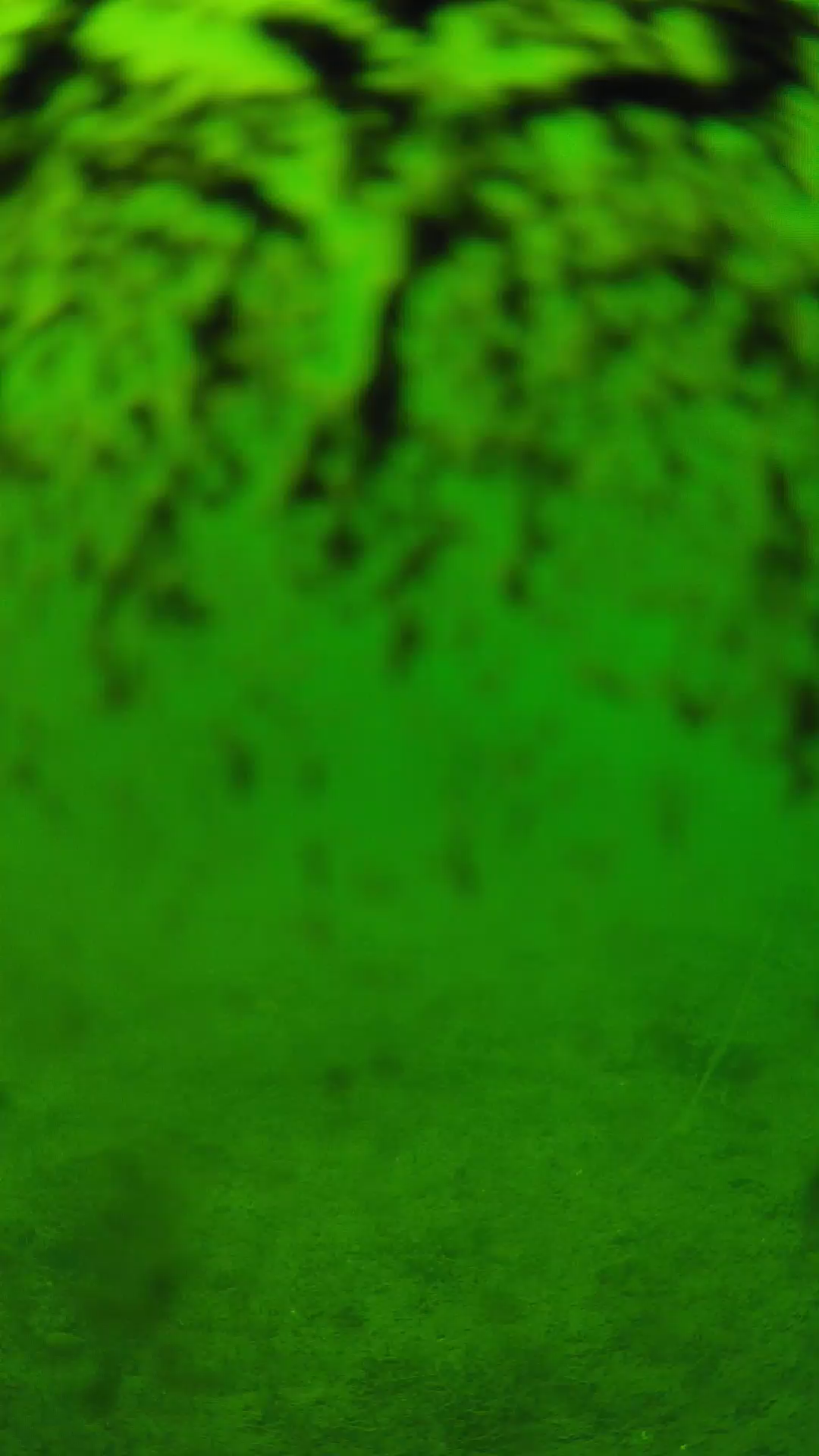 lander_ipcam_20240703133539.png