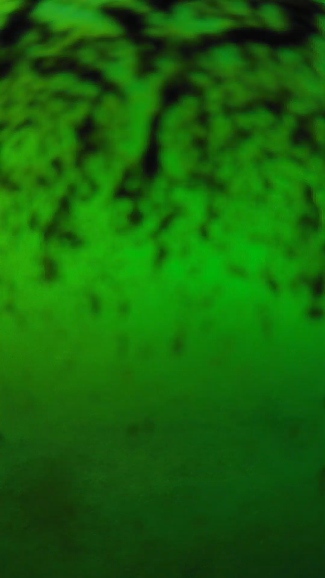 lander_ipcam_20240703180541.png