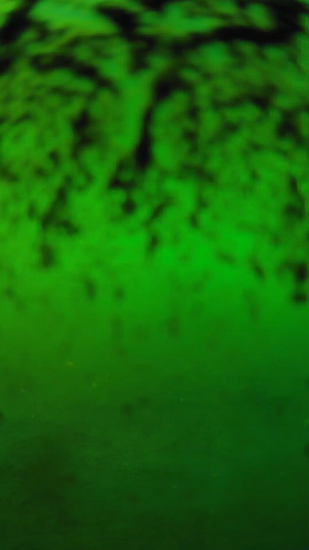 lander_ipcam_20240703180548.png