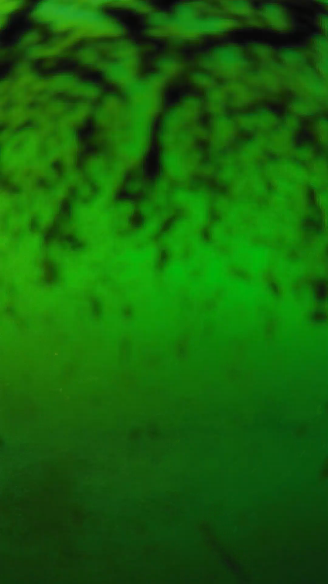 lander_ipcam_20240703180559.png