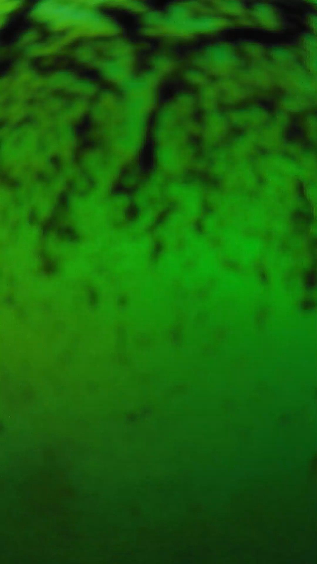 lander_ipcam_20240703183538.png