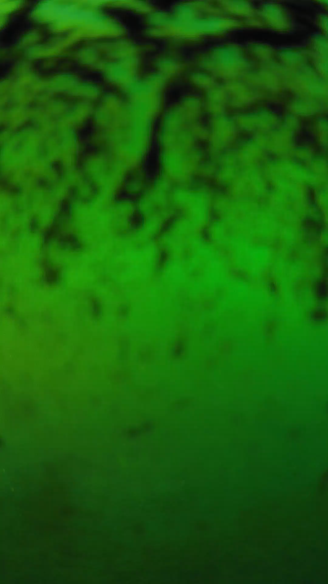 lander_ipcam_20240703183549.png
