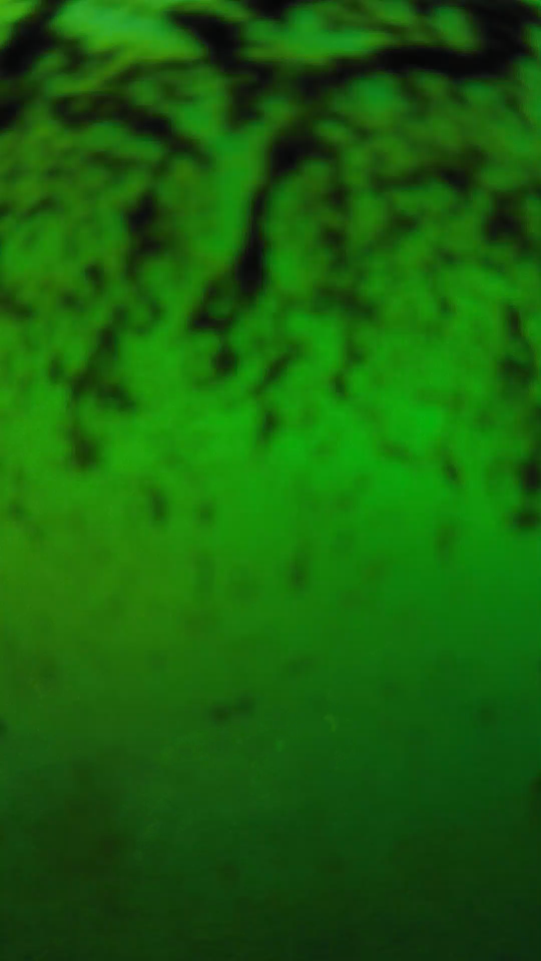 lander_ipcam_20240703183604.png