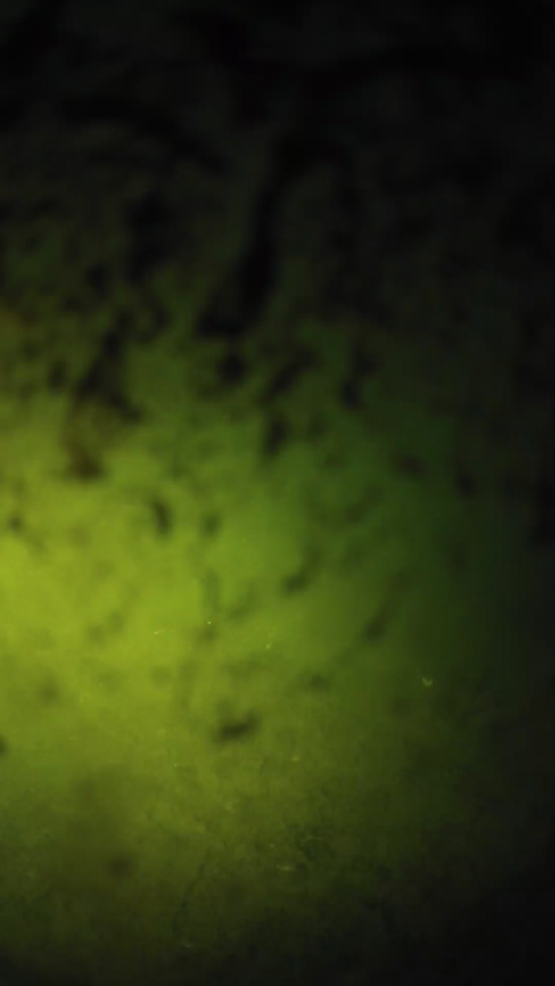 lander_ipcam_20240703203542.png