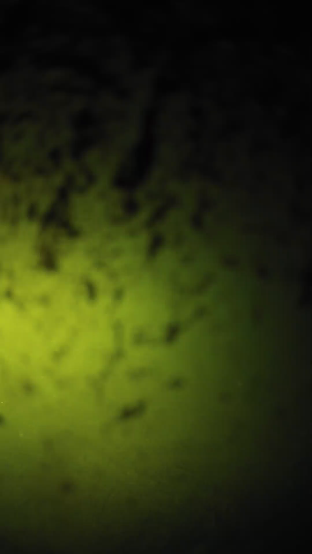 lander_ipcam_20240703210538.png