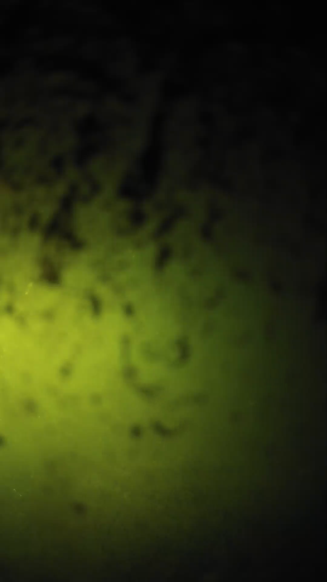 lander_ipcam_20240703210551.png