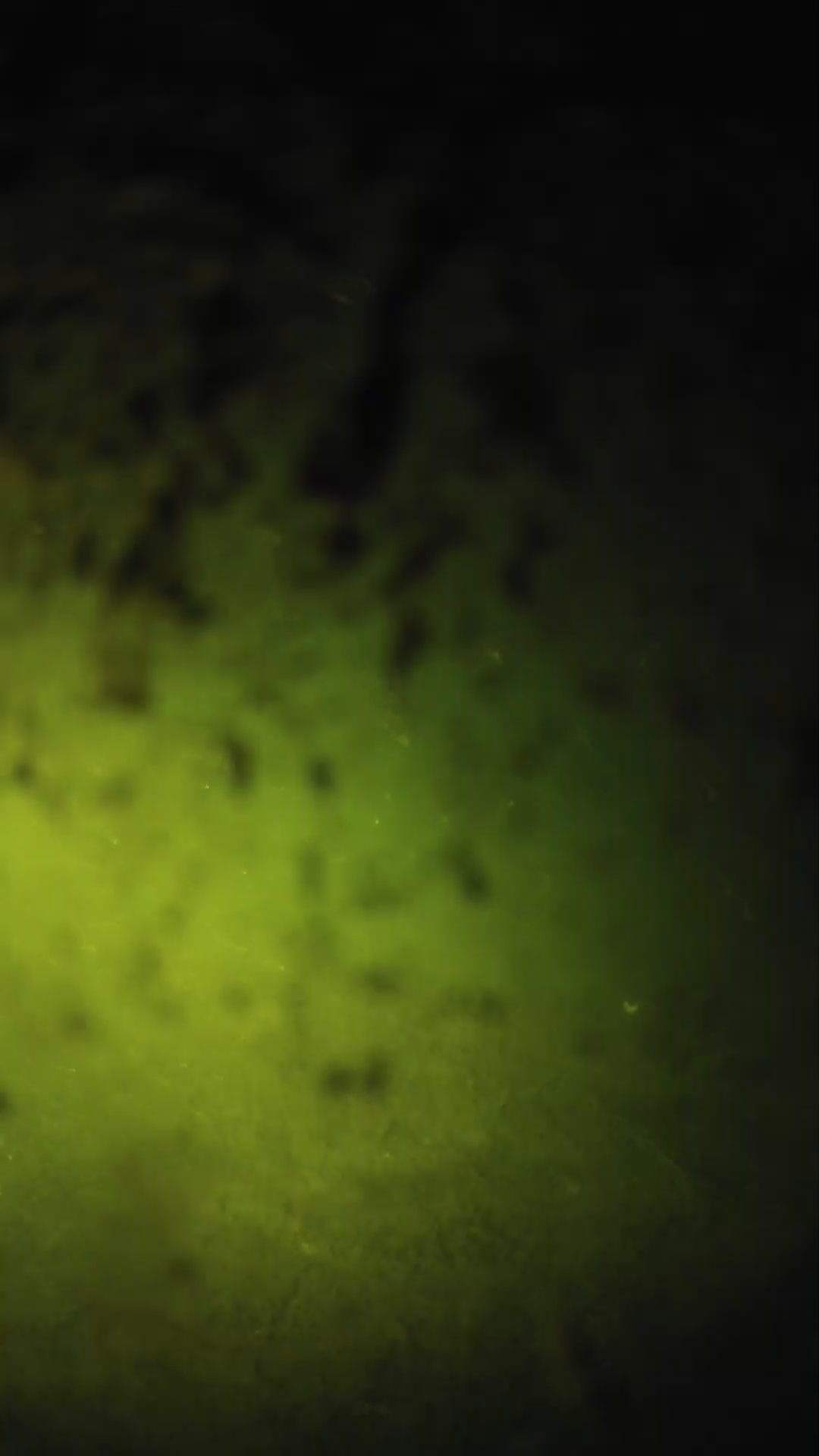 lander_ipcam_20240703213542.png