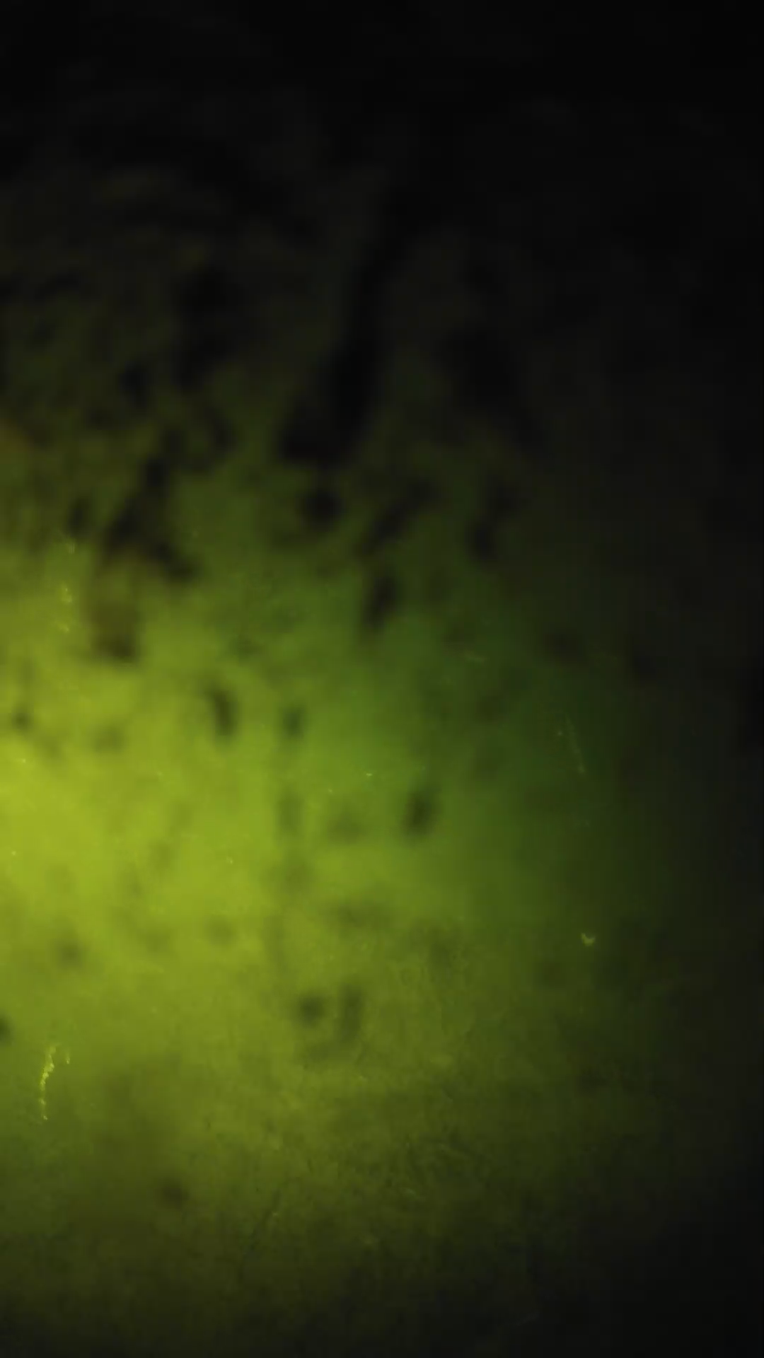 lander_ipcam_20240703213545.png
