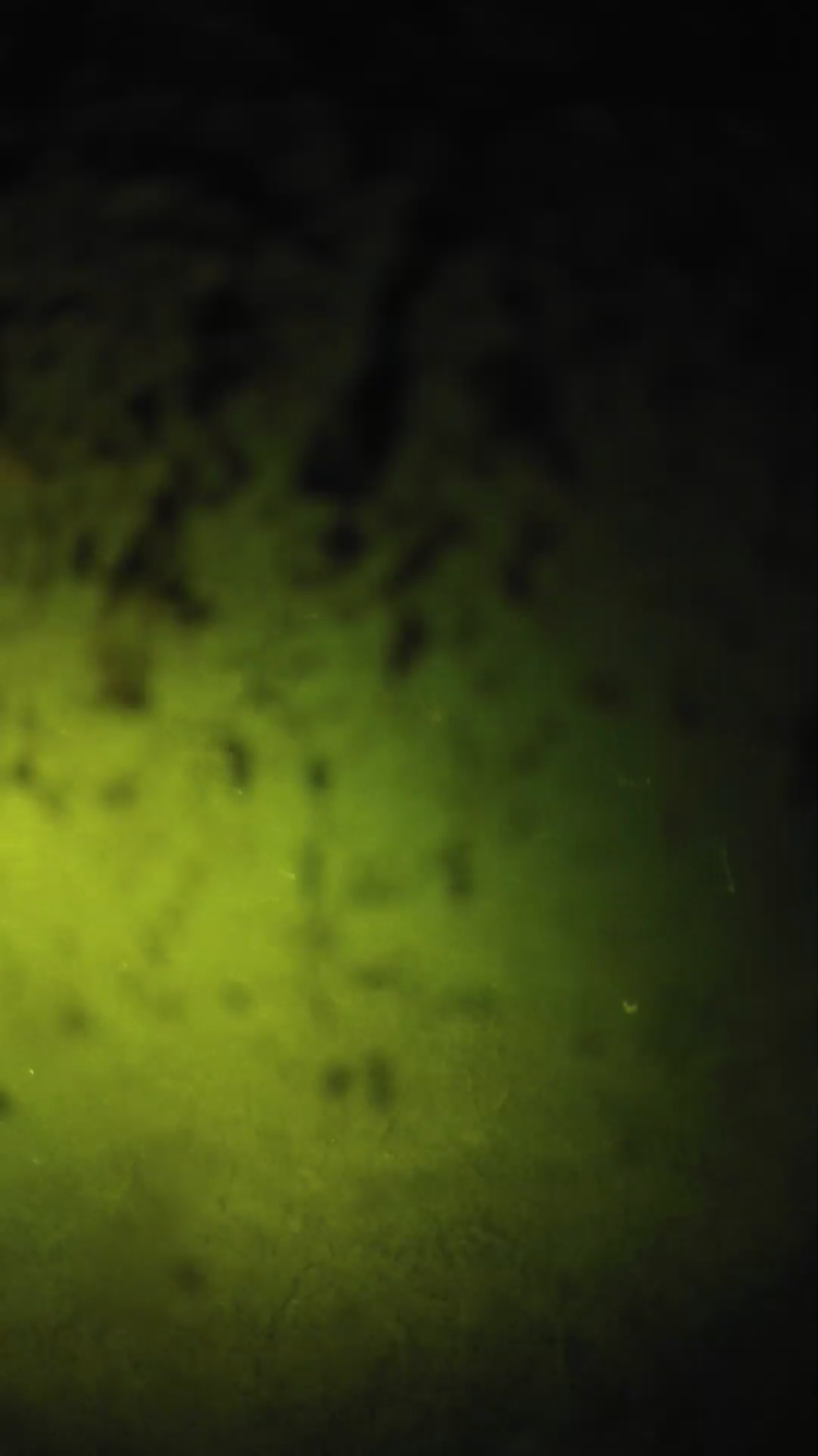 lander_ipcam_20240703213548.png