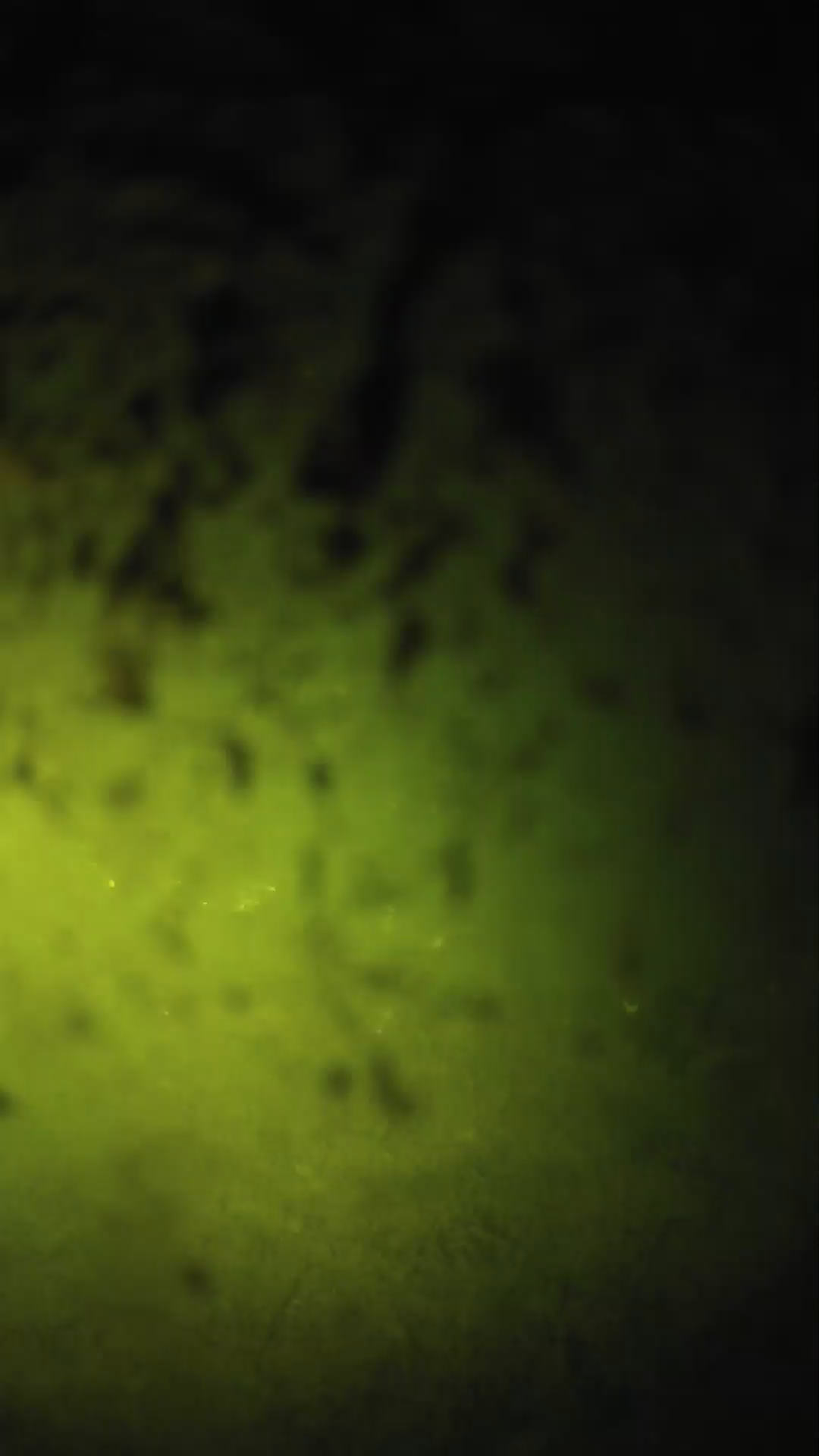 lander_ipcam_20240703213558.png