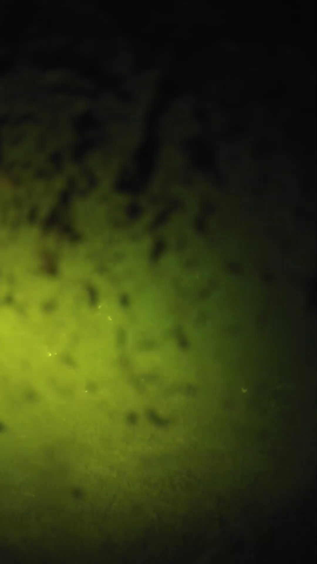 lander_ipcam_20240703213603.png