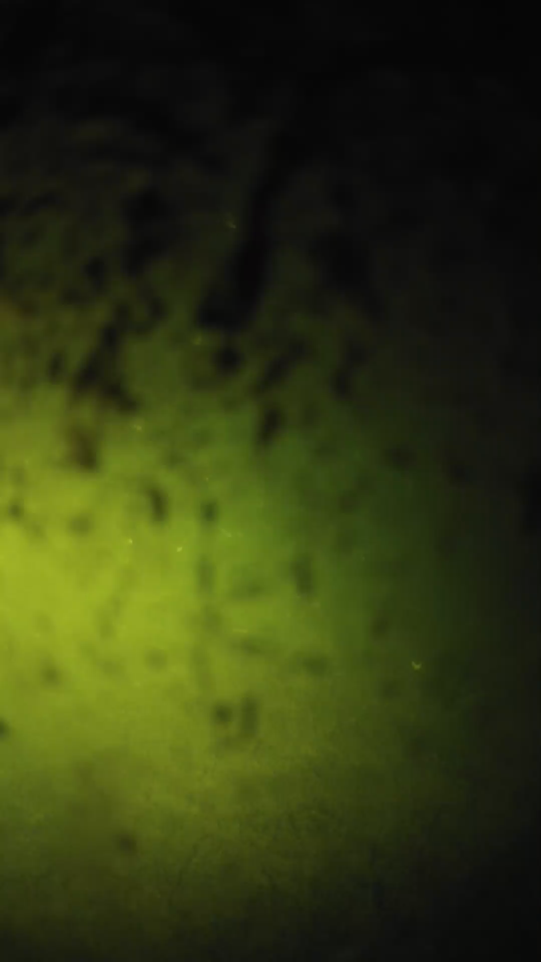 lander_ipcam_20240703213607.png